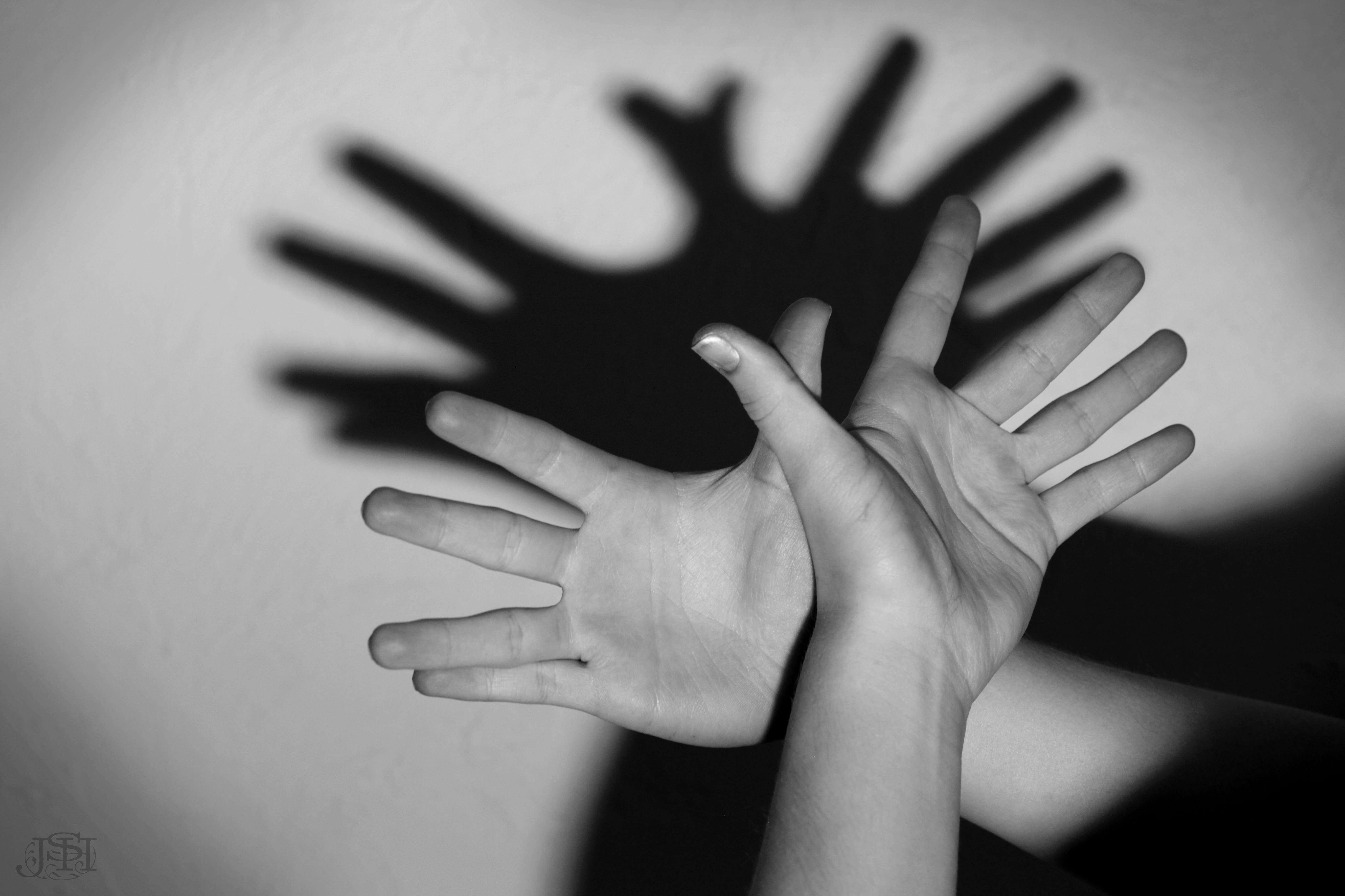 Hands shadow photo