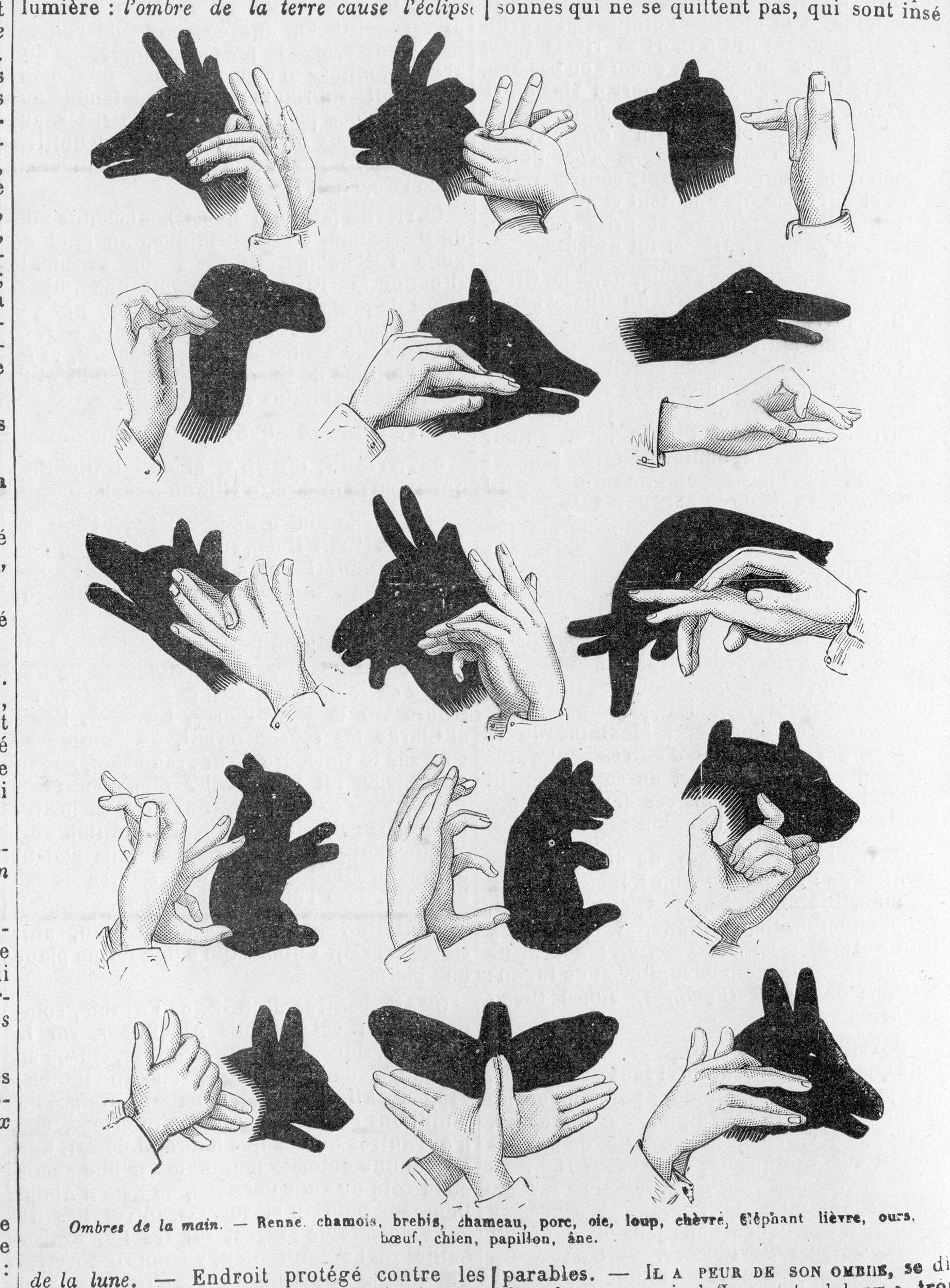 Hand Shadow Puppetry – Old Book Illustrations