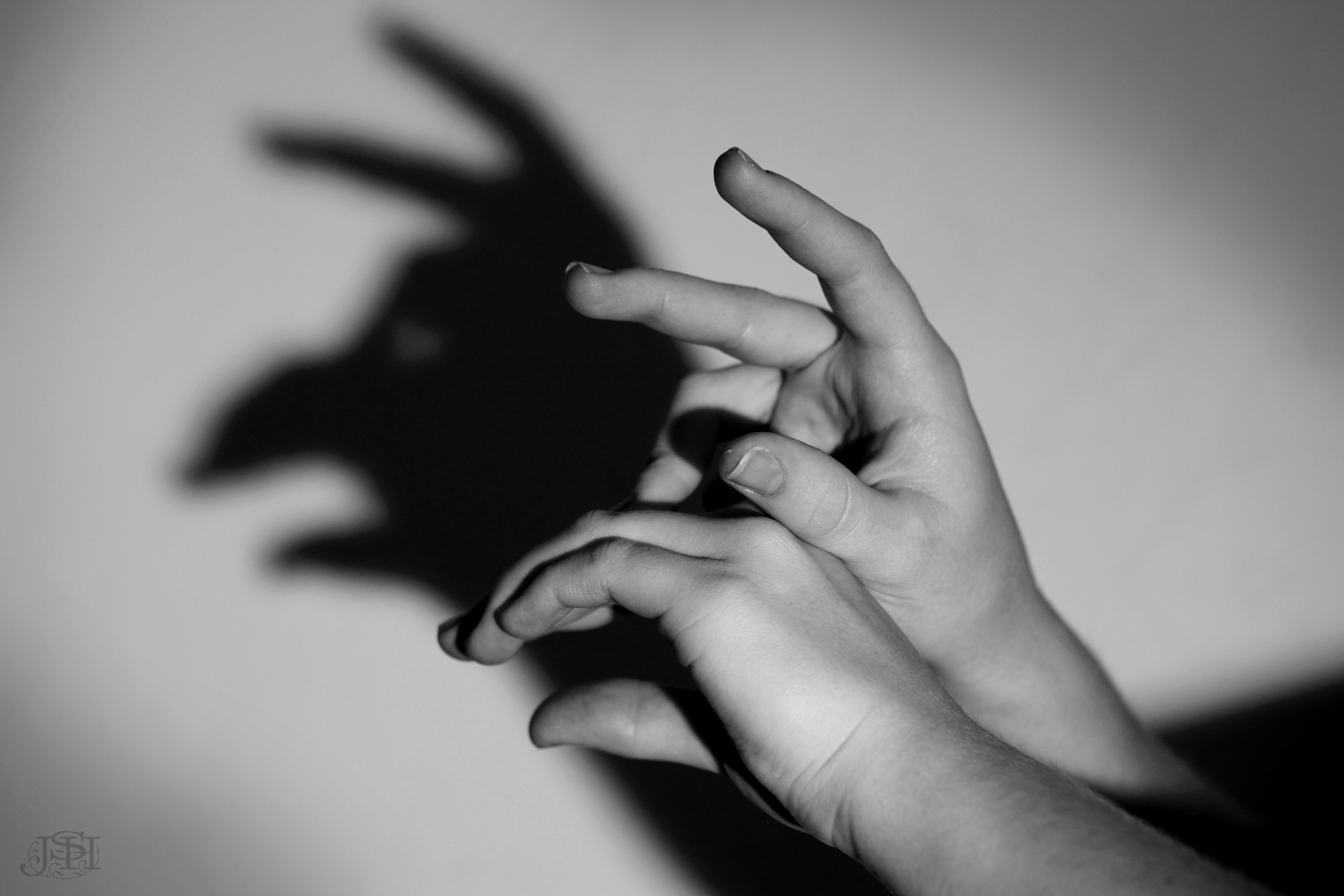 hand shadow puppet | Pinkolandia | Pinterest | Shadow puppets ...