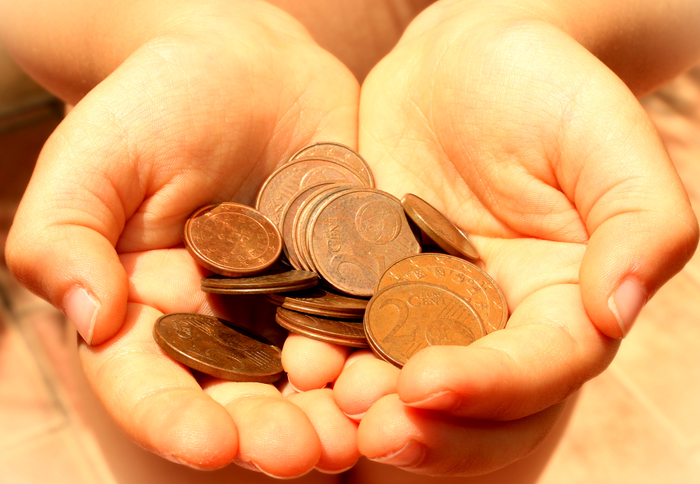 Hands showing euro coins photo