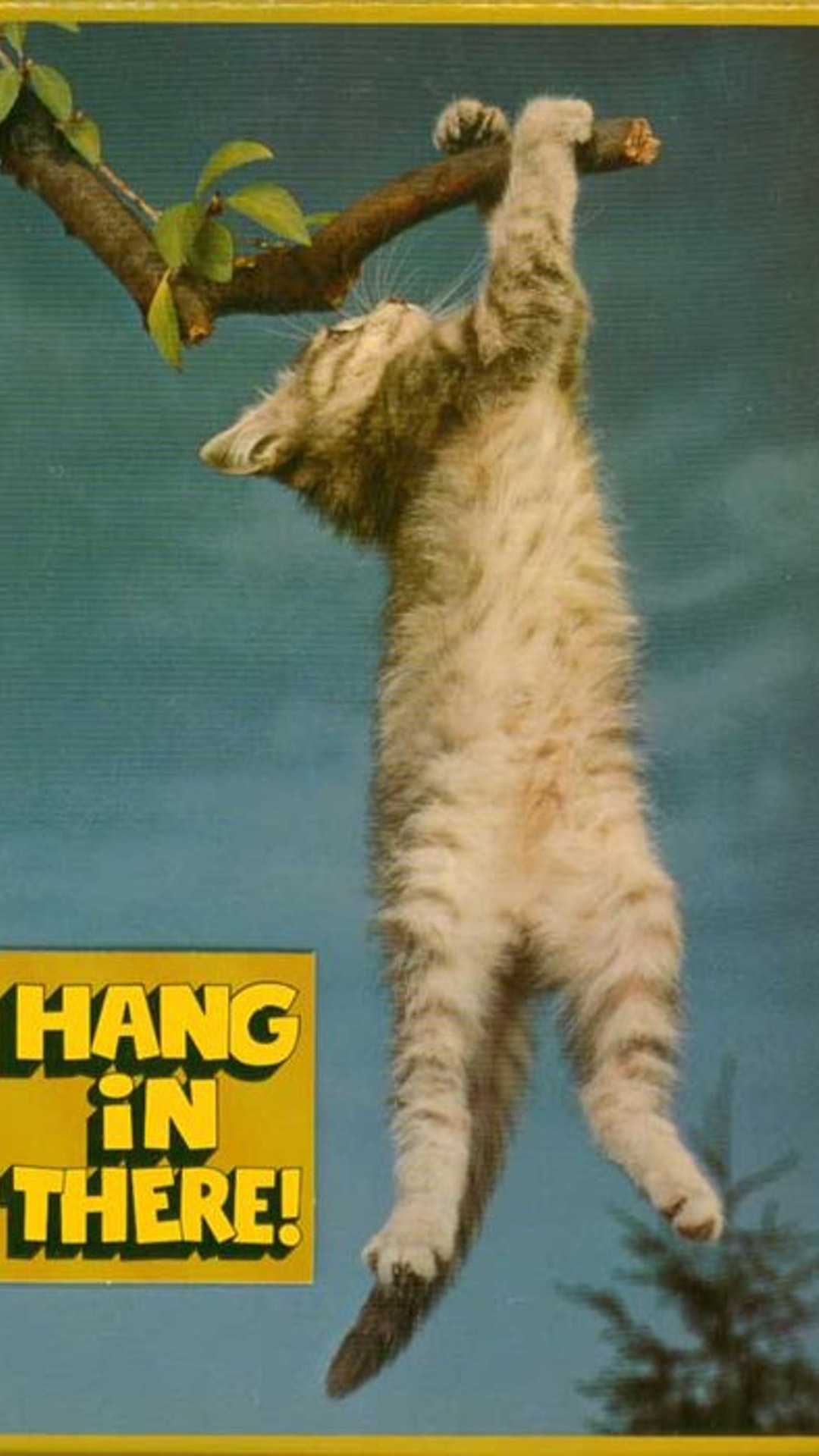 Hang in there by someone from the 70s - Electric Objects