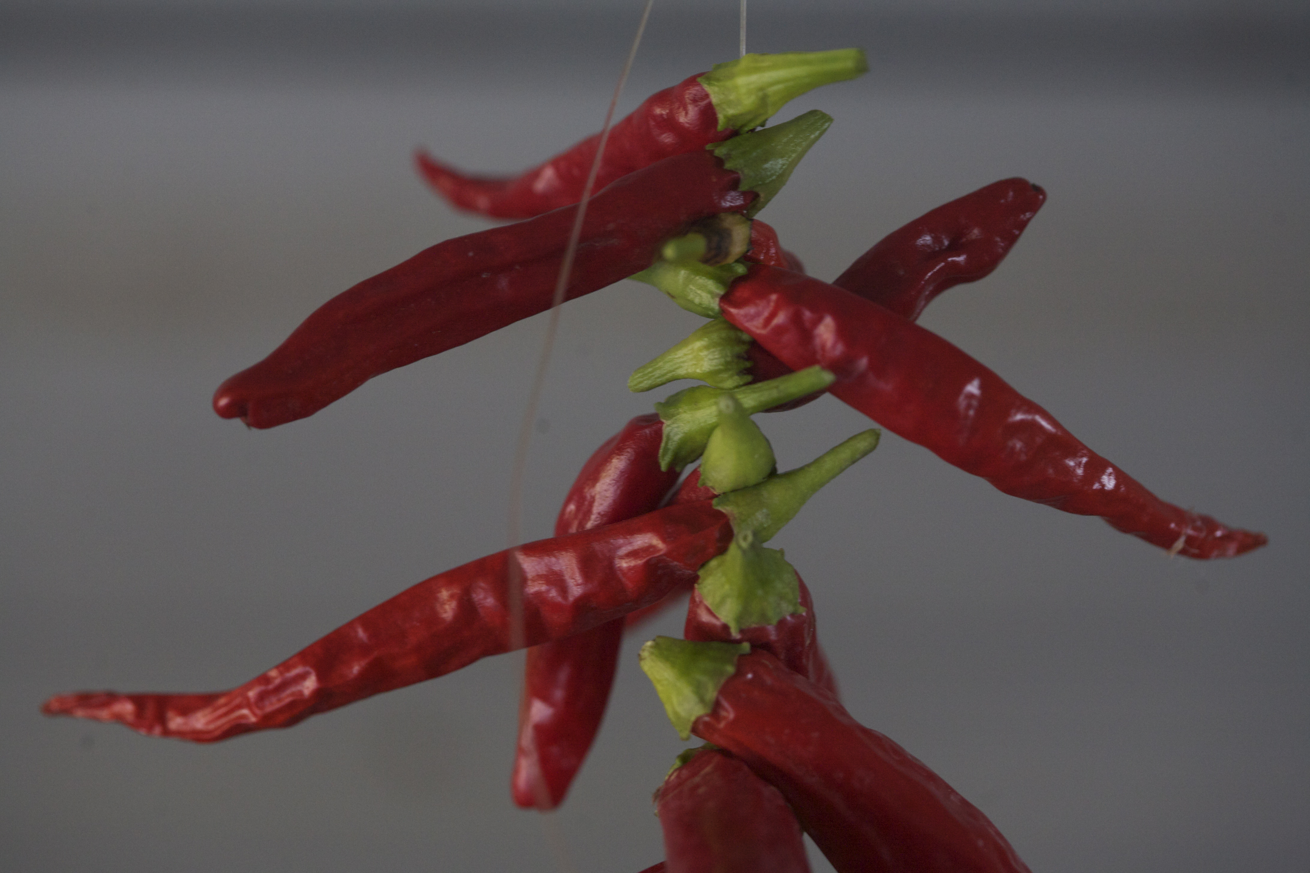 How To Preserve A Whole Season Of Hot Peppers With Virtually No Work ...