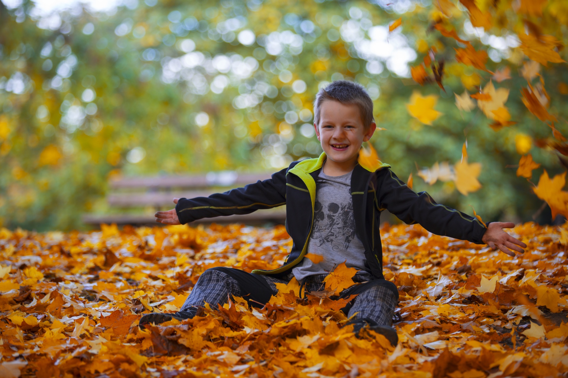 Happy Boy And Autumn Leaves Free Stock Photo - Public Domain Pictures