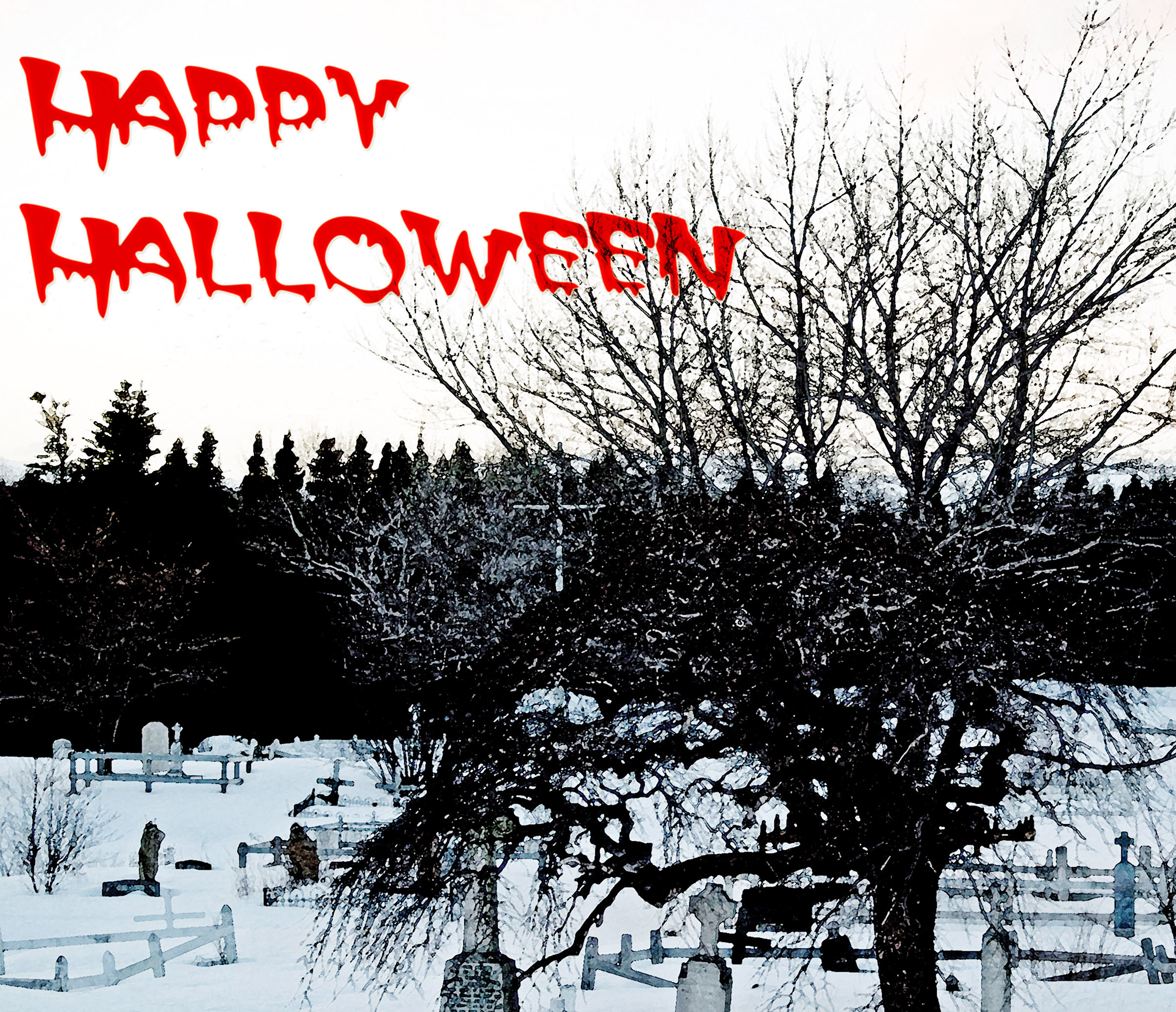 Happy Halloween, Animal, Scary, Leaves, Moon, HQ Photo
