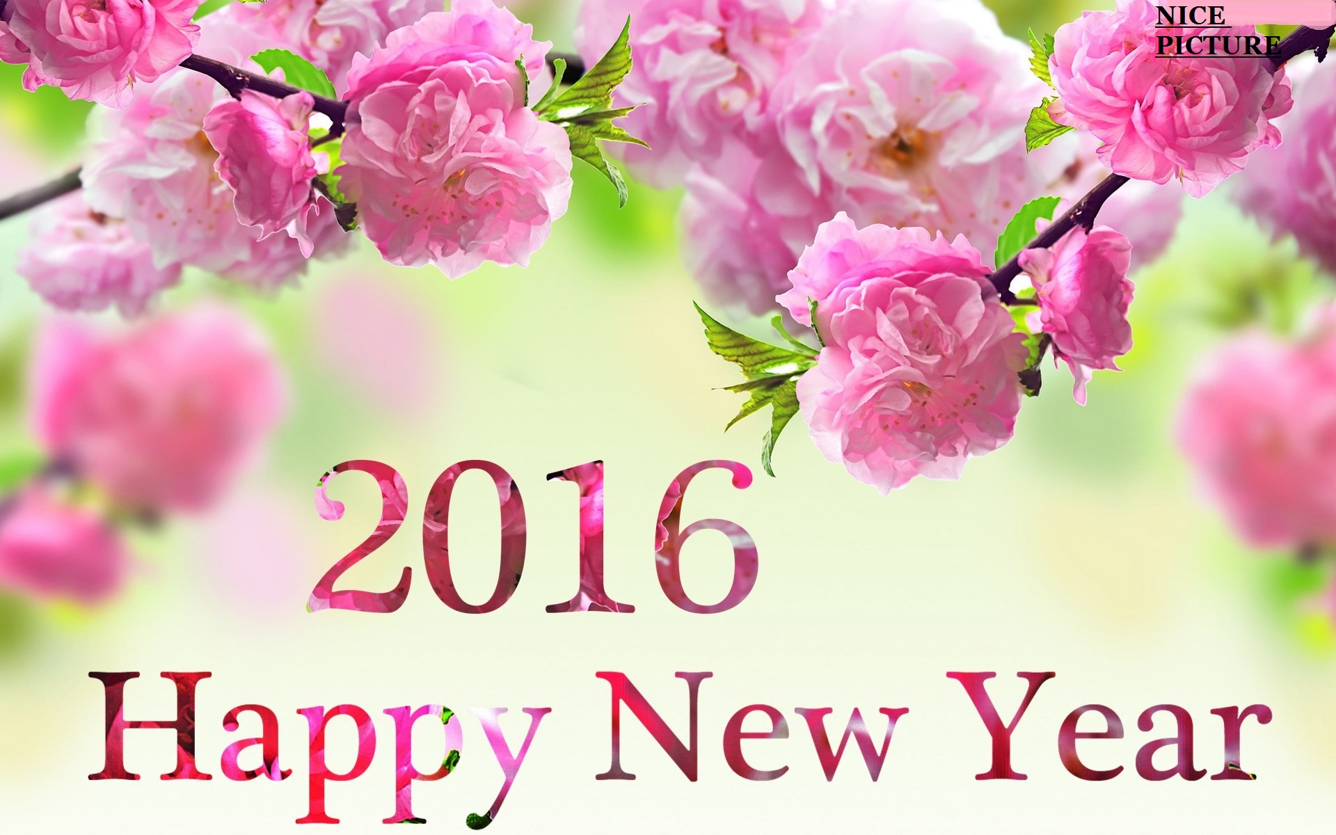 Happy new year 2016 photo