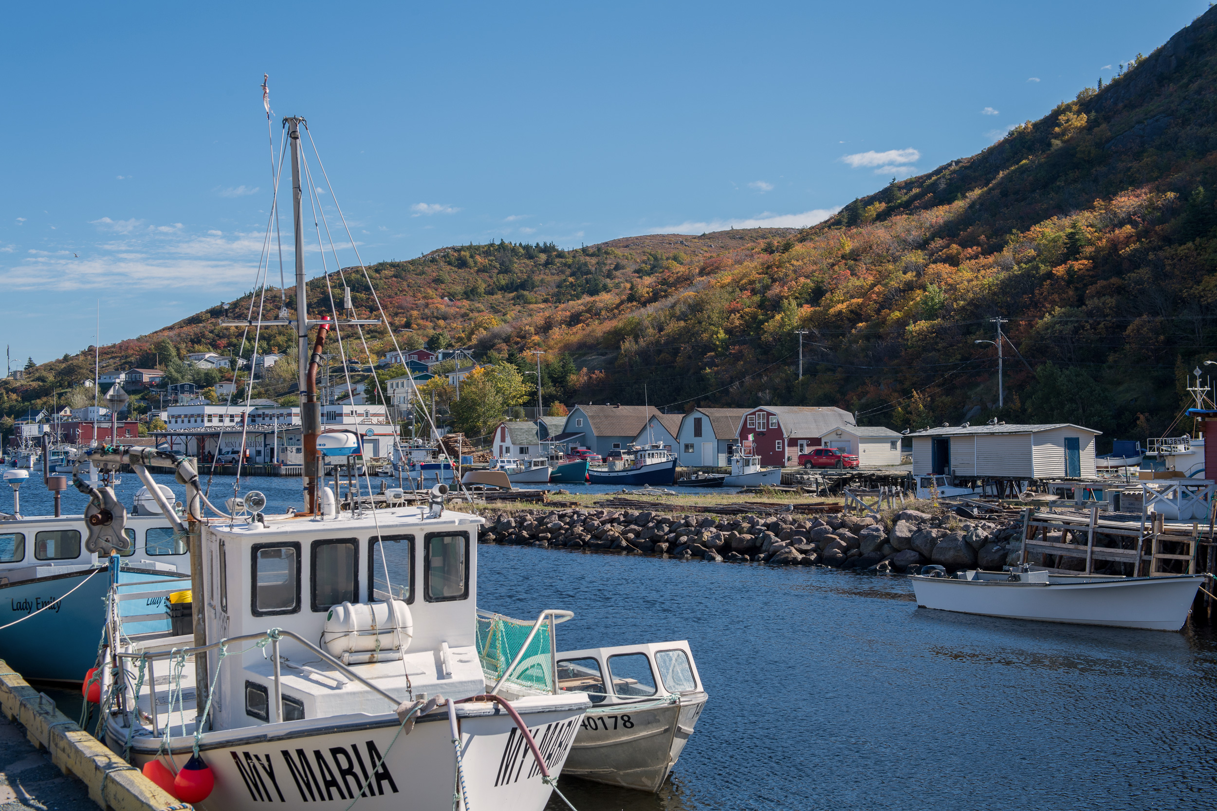Old Coast, New Coast: Petty Harbour, Newfoundland | Hakai Magazine