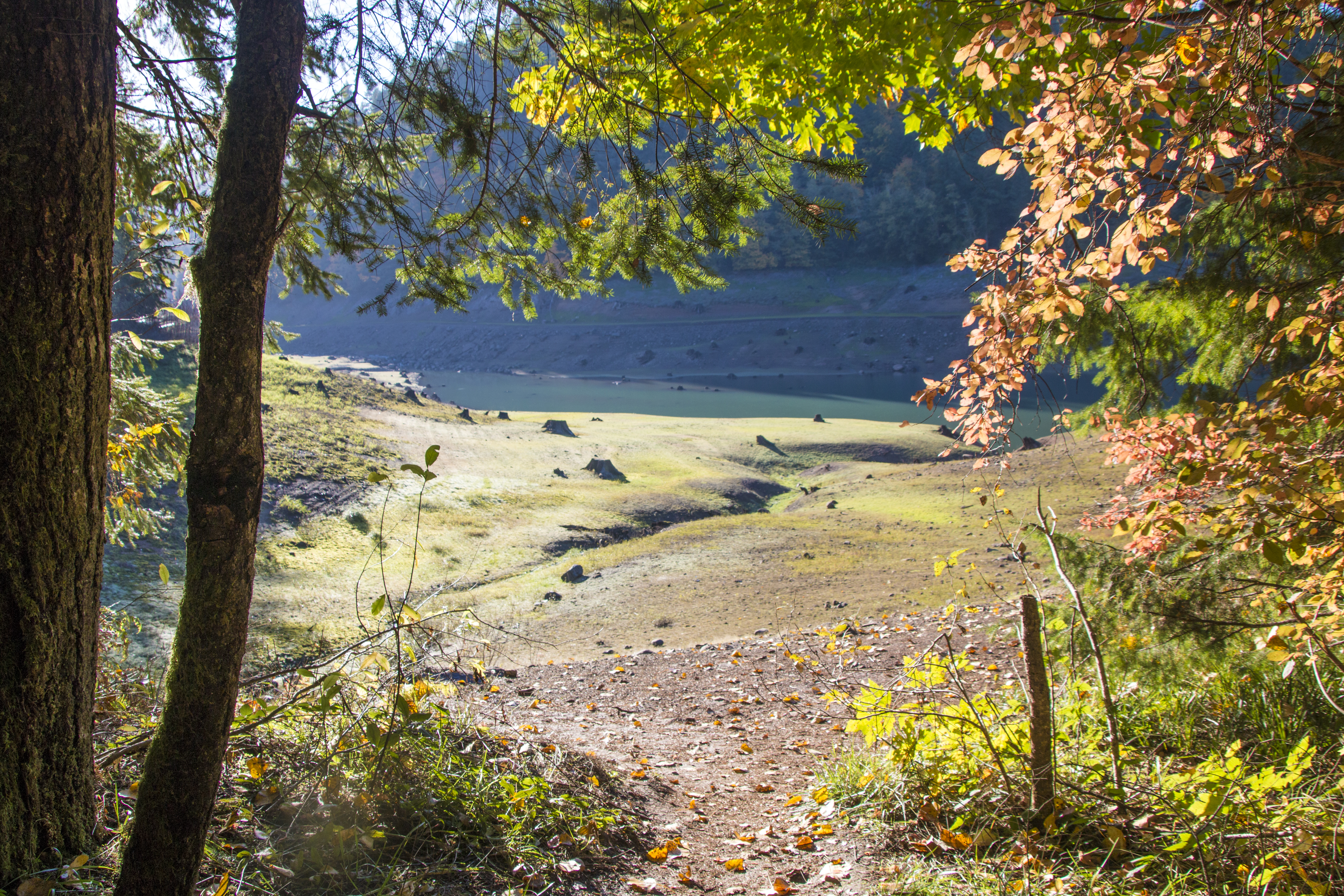 Hardesty mountain trail, oregon, autumn photo