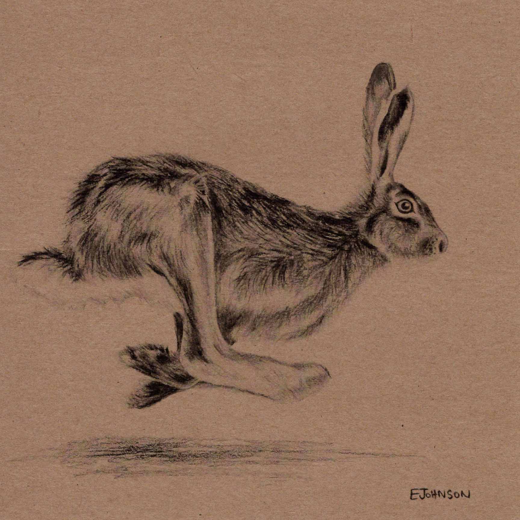 Running Hare Greetings Card – Emily Johnson Country Art