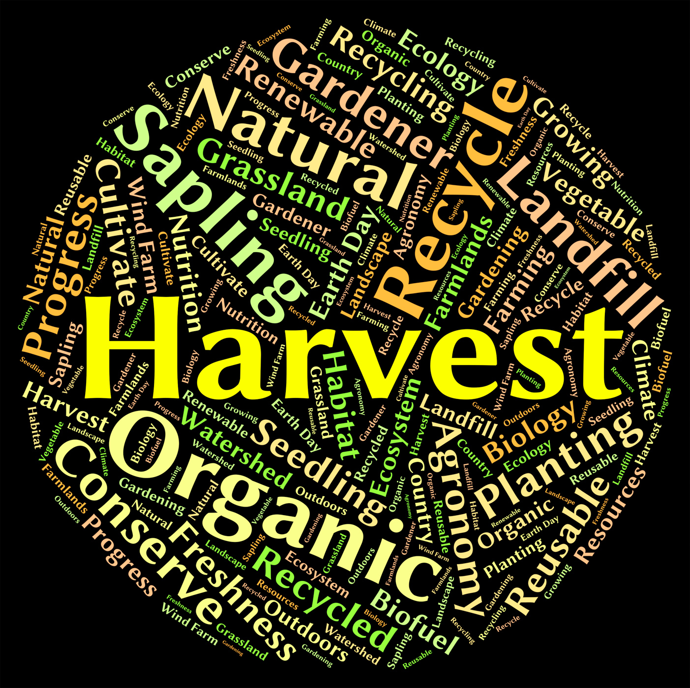 Harvest Word Means Produce Grains And Gather, Crop, Plant, Yield, Words, HQ Photo