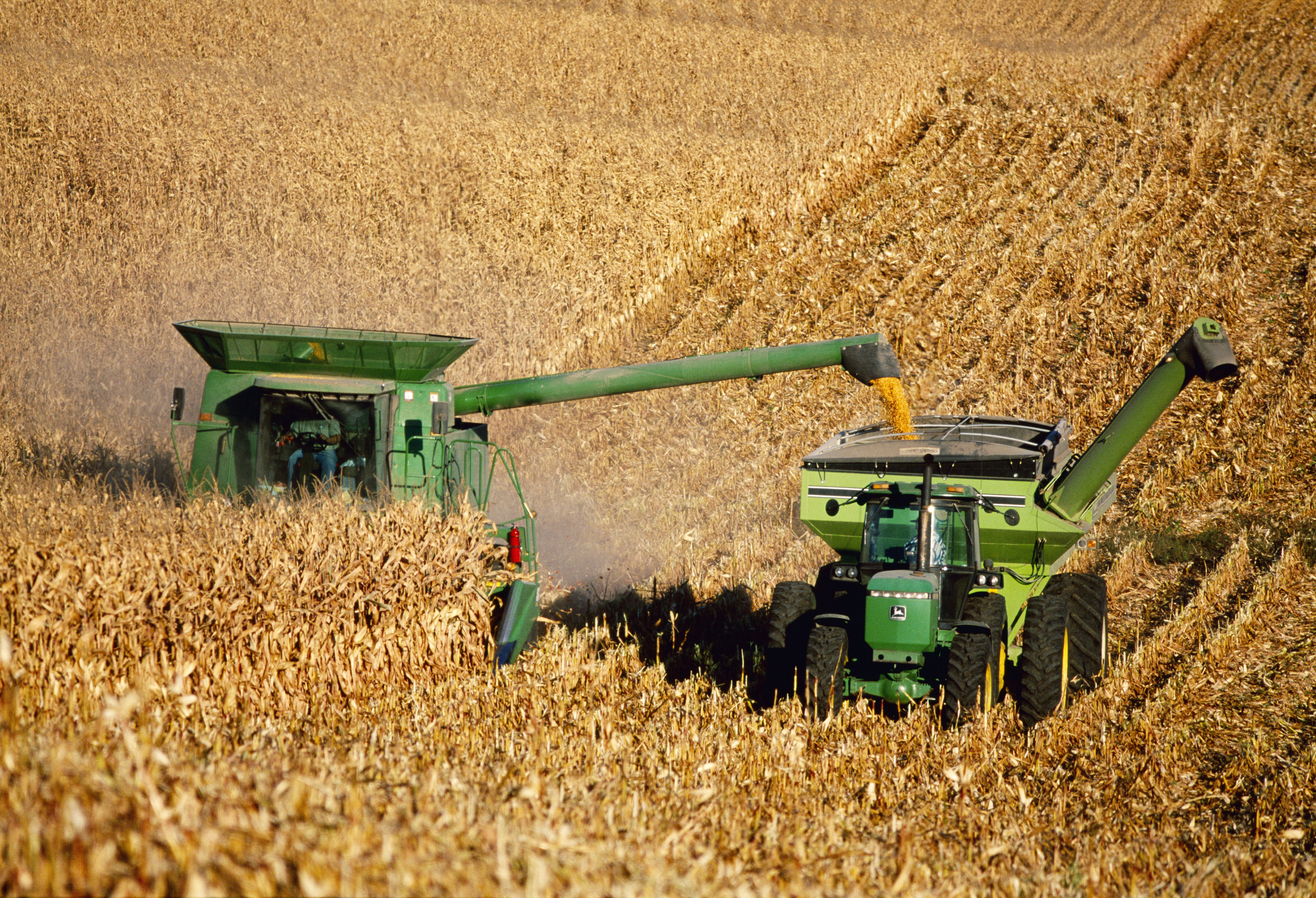 harvesting-grain-corn - Industrial Inventions Pictures - Industrial ...