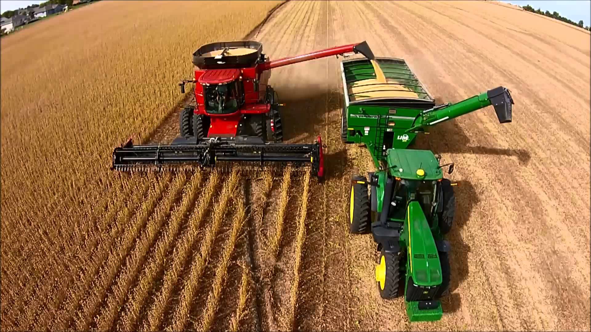 Soybean Harvest 2014 - YouTube