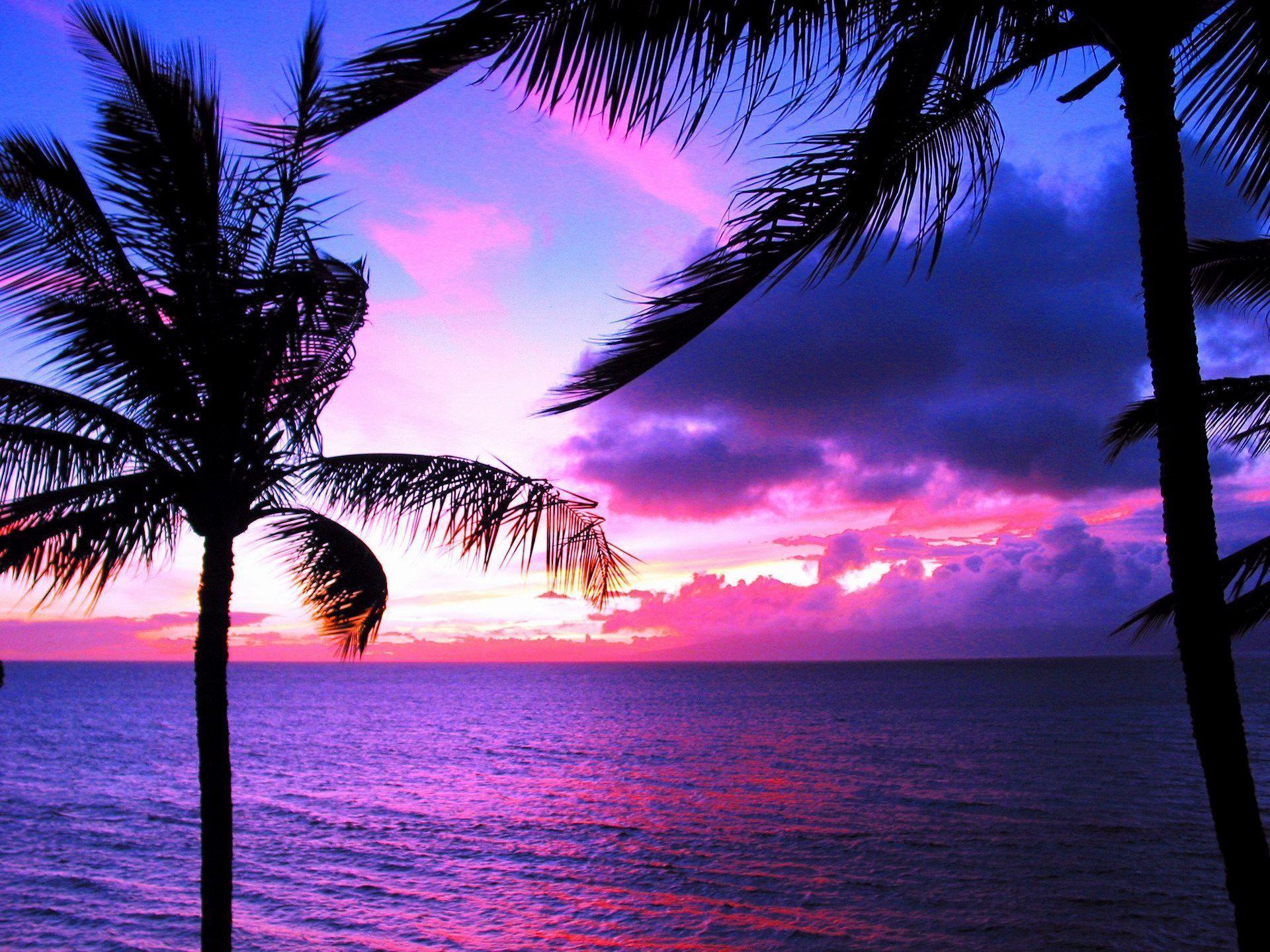 Hawaii sunset photo