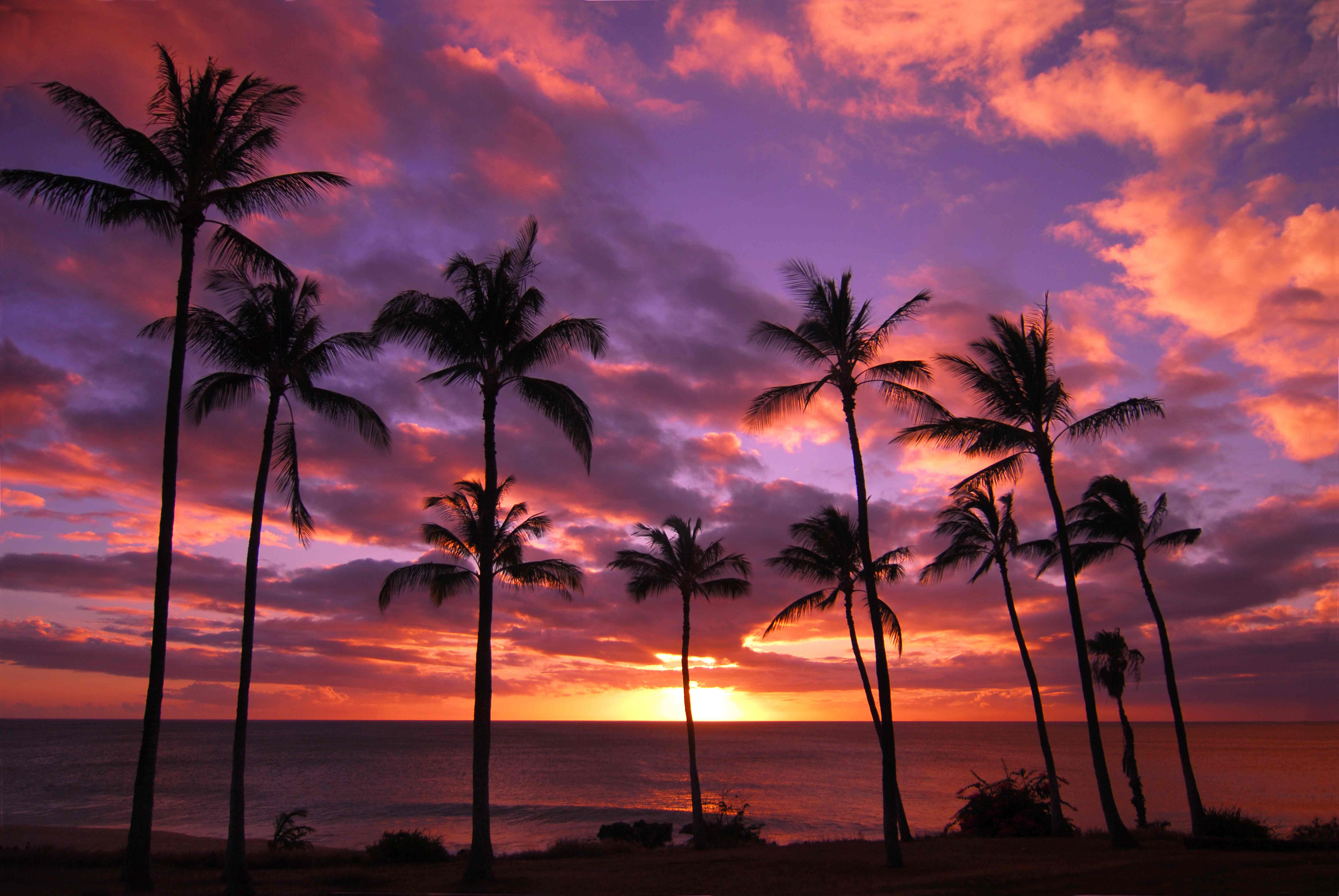 A Hawaiian Getaway - Free and Nearly Free Activities in Oahu and ...