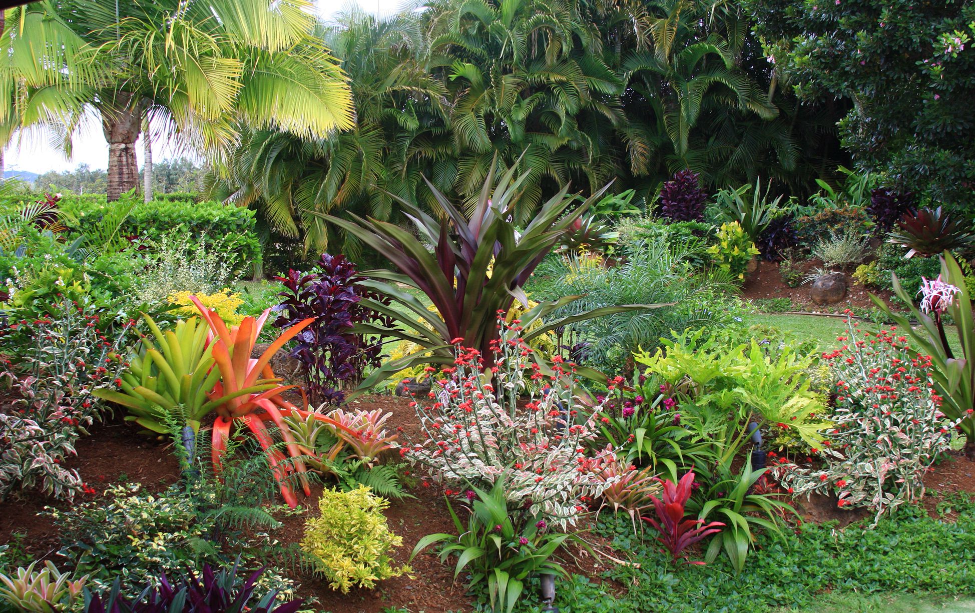 Tropical Flower Garden Design Ideas