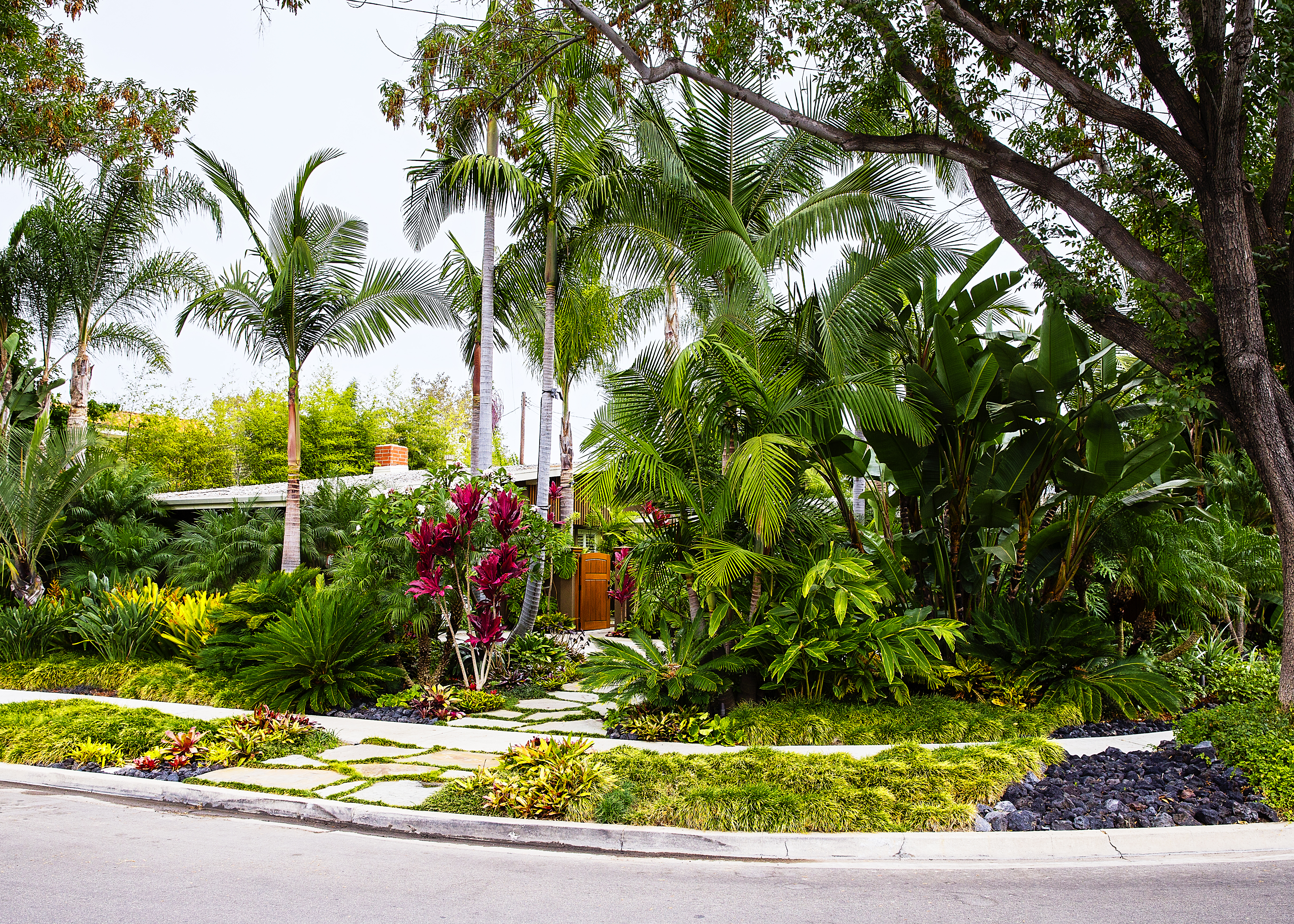 How to Design a Lush Tropical Retreat - Sunset Magazine