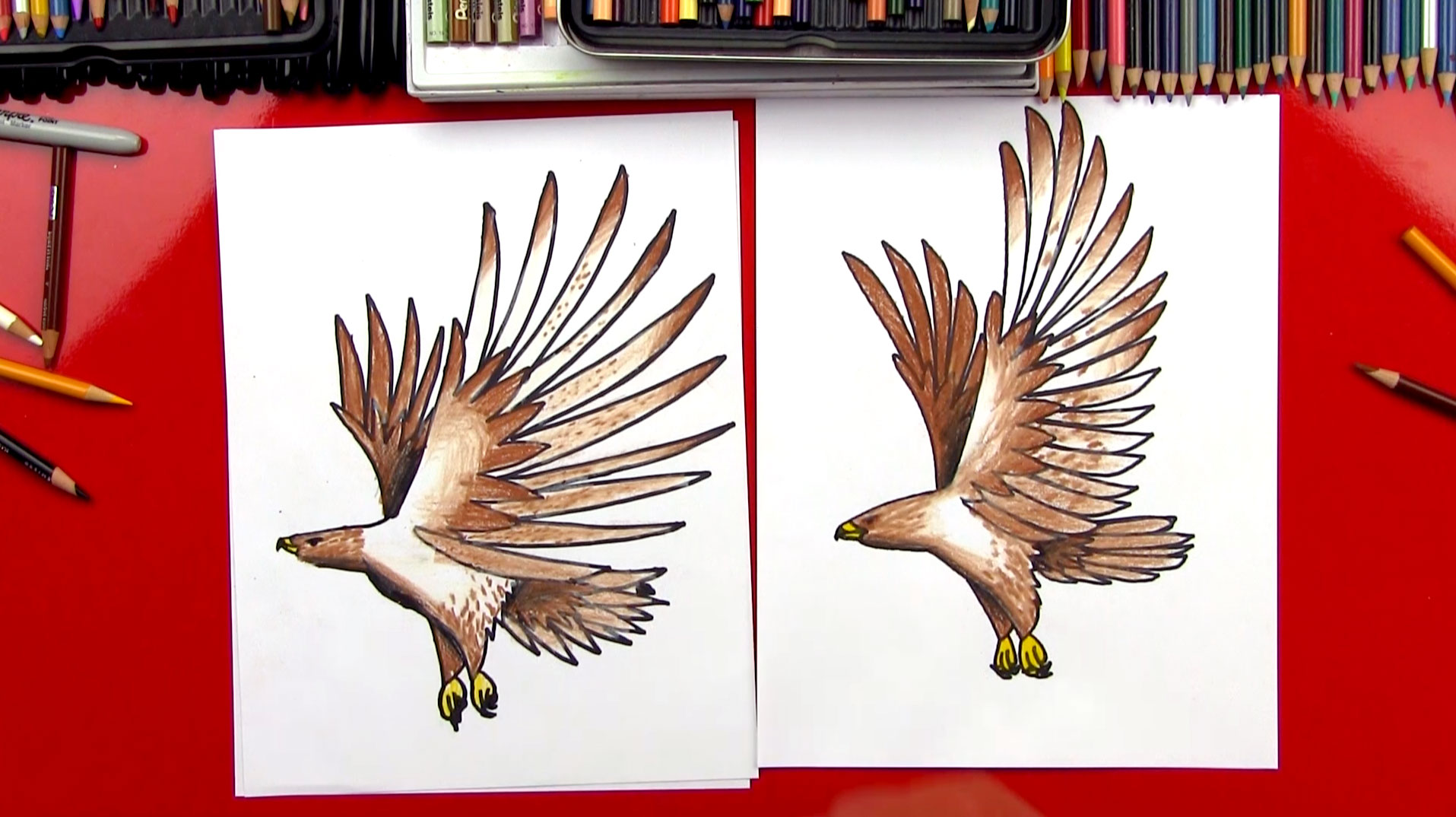 How To Draw A Realistic Hawk - Art For Kids Hub -