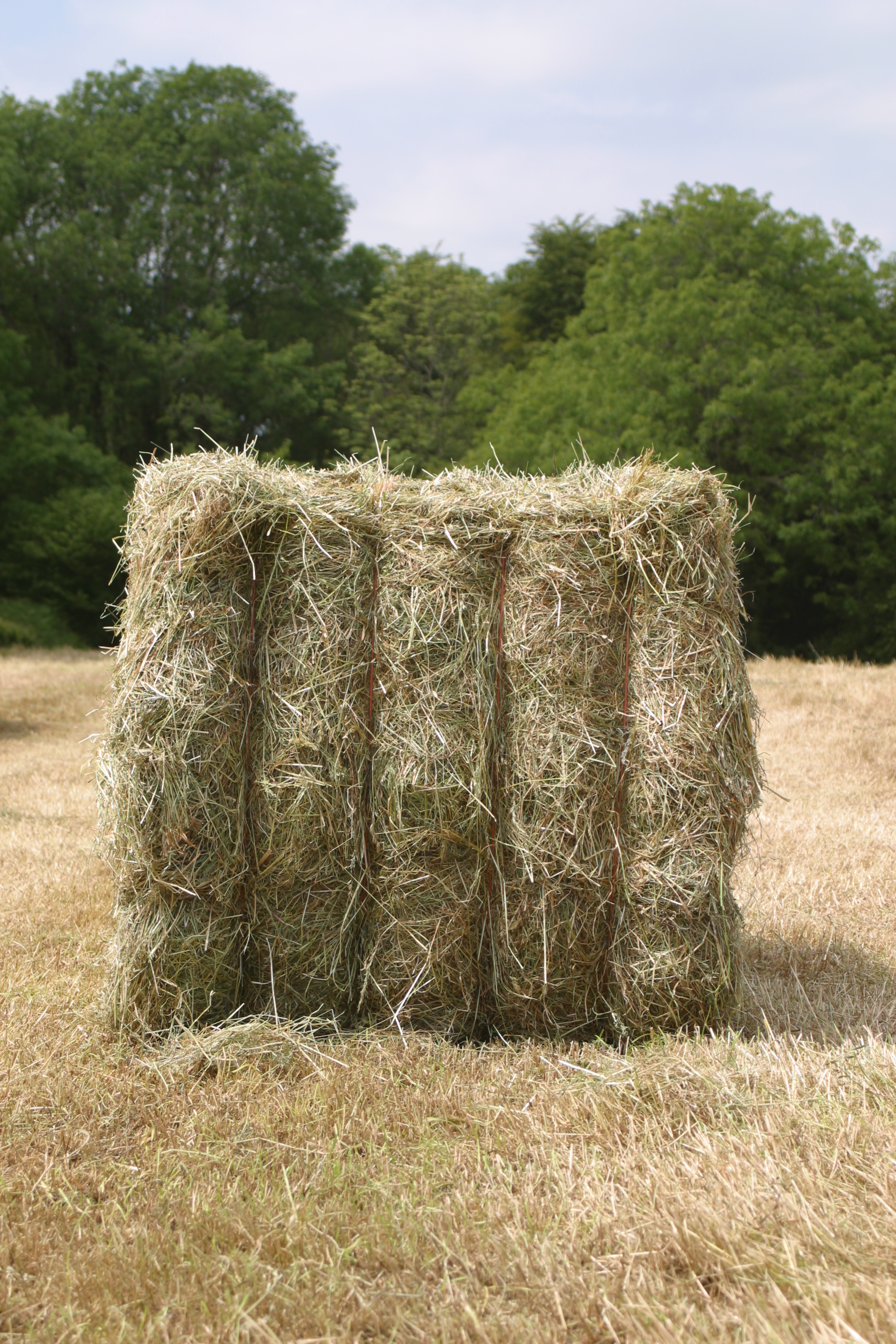 Traditional Hay Maker Long Term Hay Ley | Cotswold Grass Seeds Direct