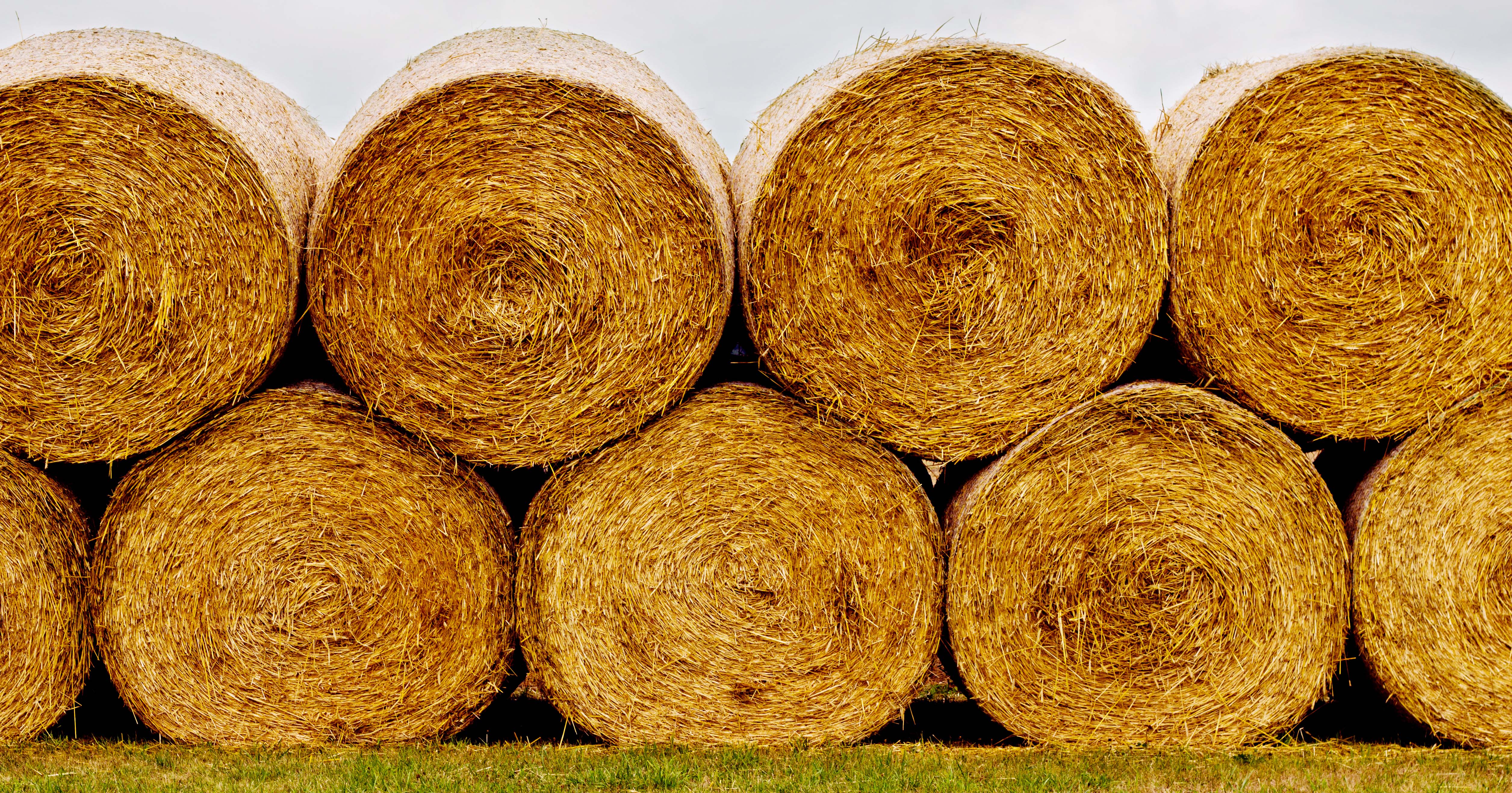 Hay lottery drawing conducted | North Dakota Department of Agriculture