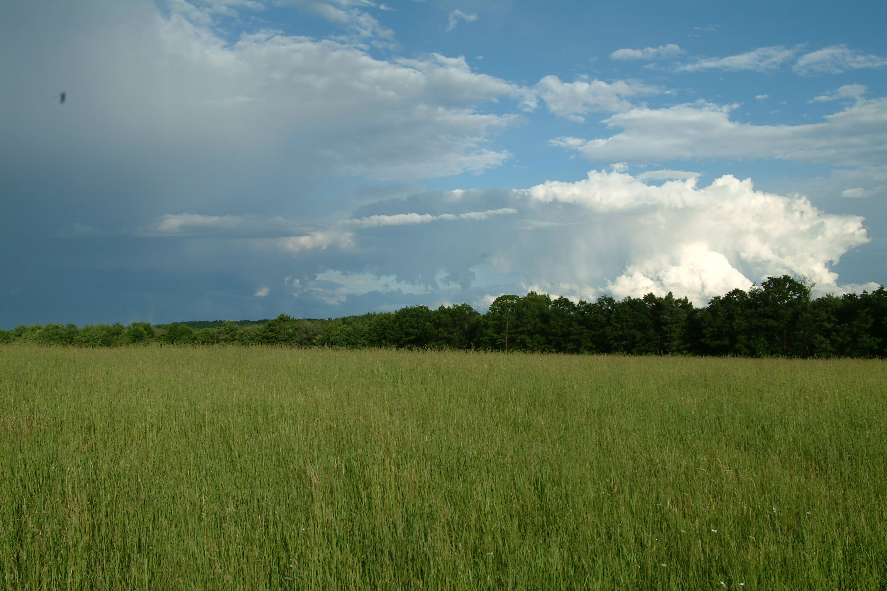 Hay field by mjranum-stock on DeviantArt