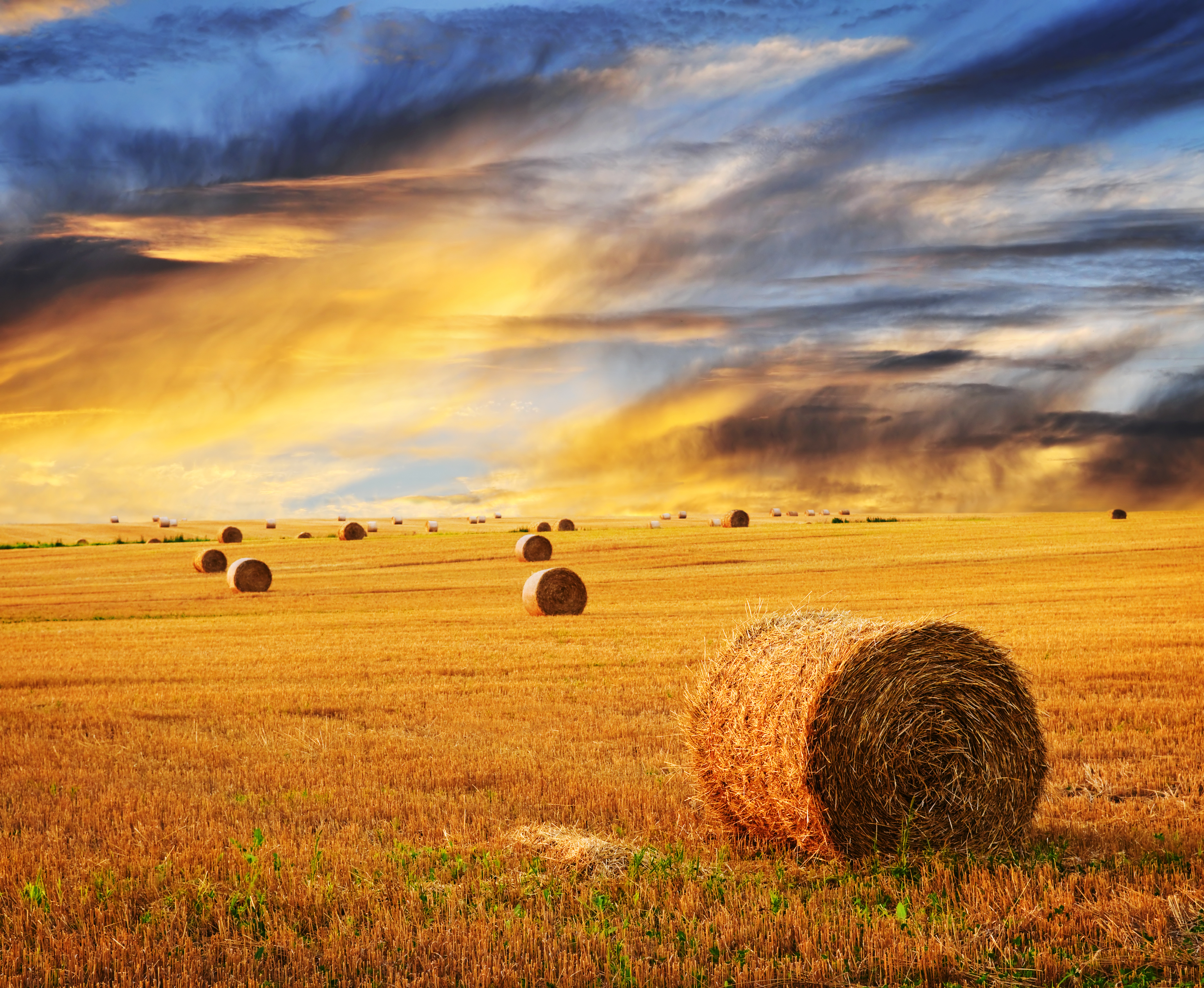 12 Photos of Gorgeous Hay Bale Fields Because #CountryLife