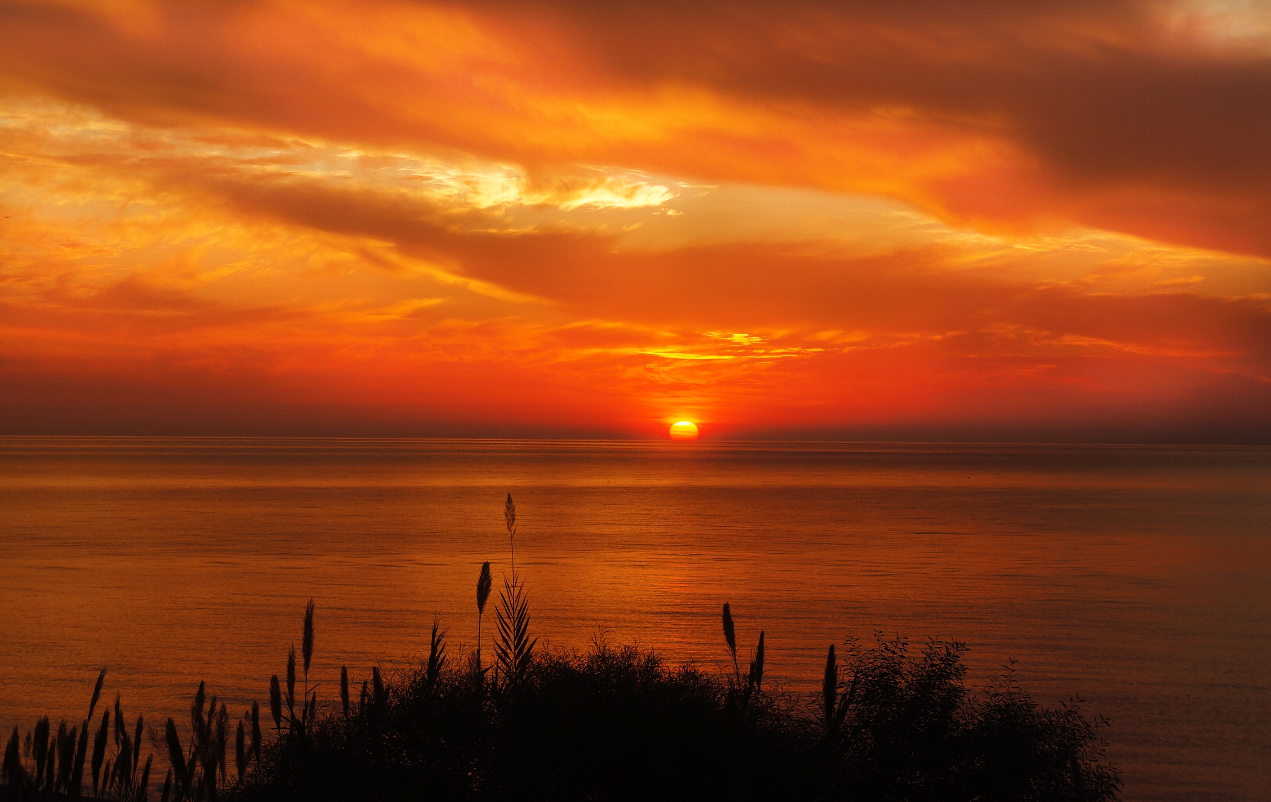 Hays silhouette near ocean during sunset photo
