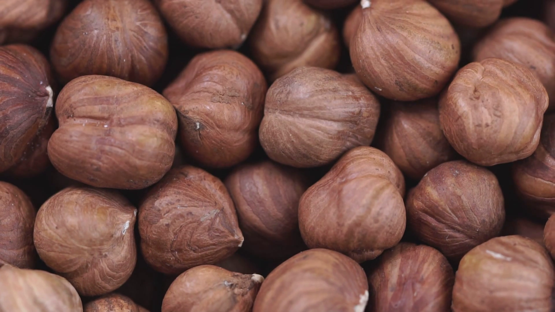 Hazelnut closeup. Rotating nuts background Stock Video Footage ...