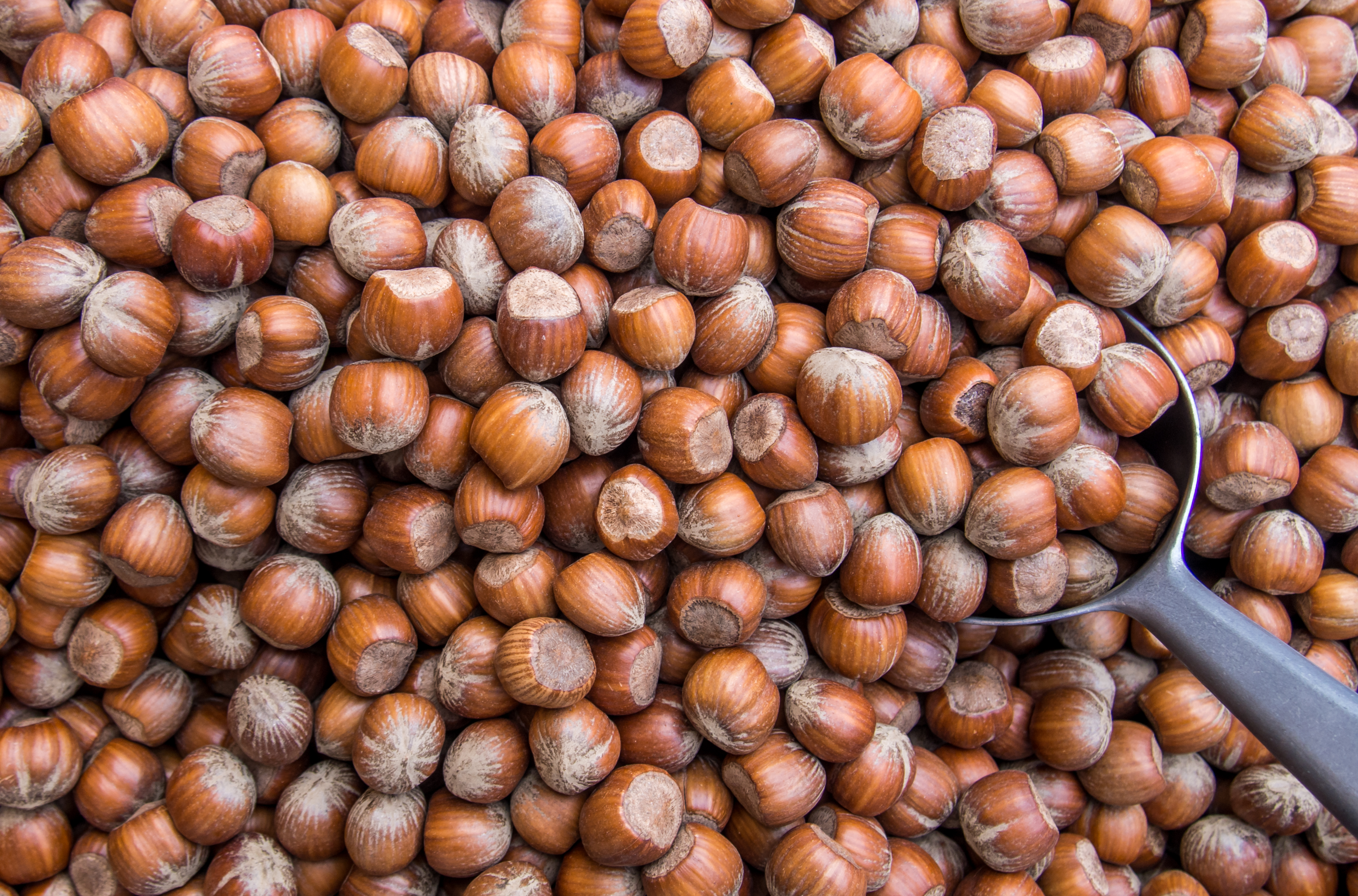 Hazelnuts pattern background texture, Roasted, Nature, Nobody, Nut, HQ Photo