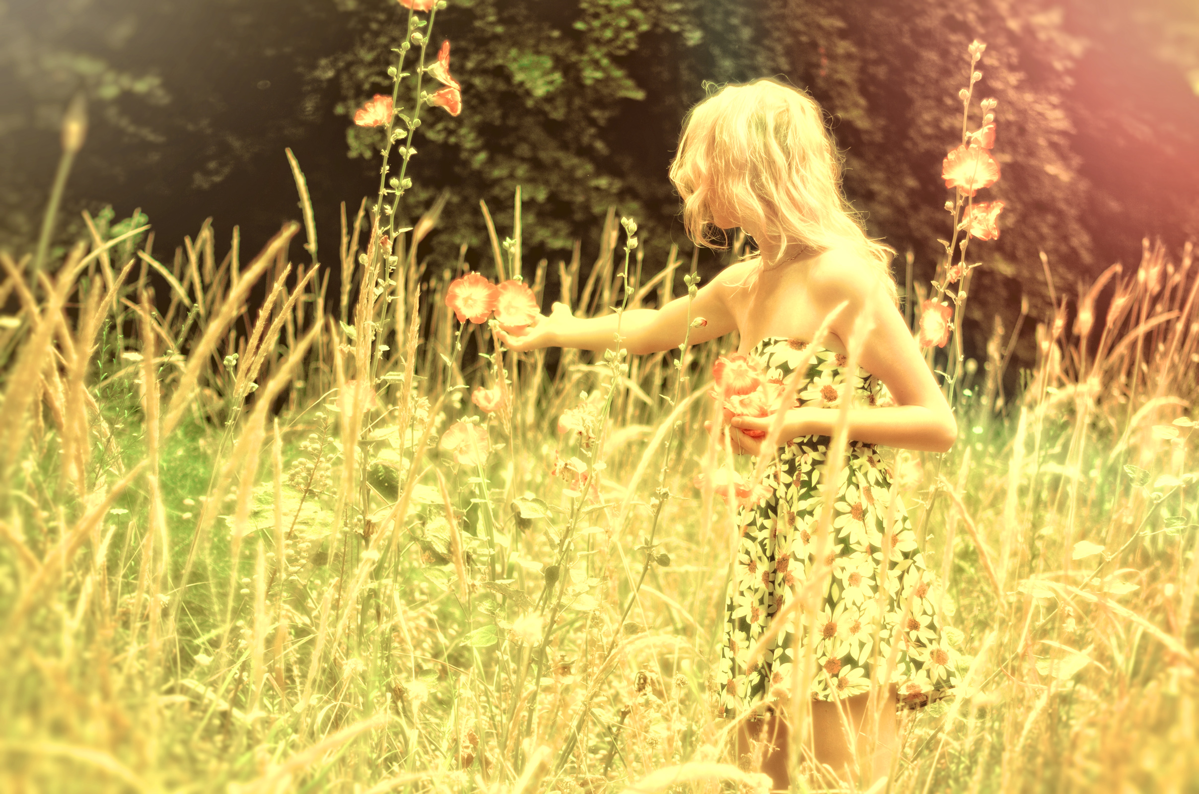 Hazy vintage looks - girl collecting flowers photo