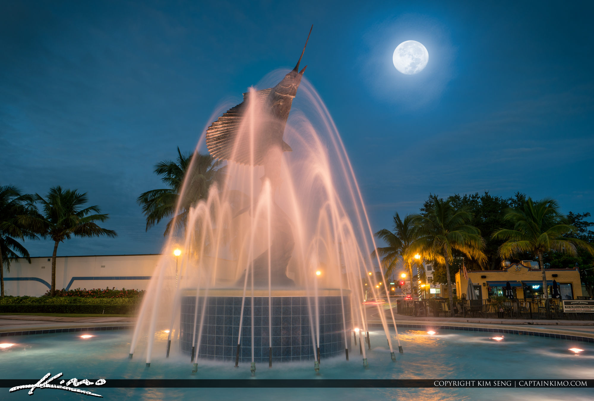 Sailfish Statue Water Fountain Stuart Florida Moon