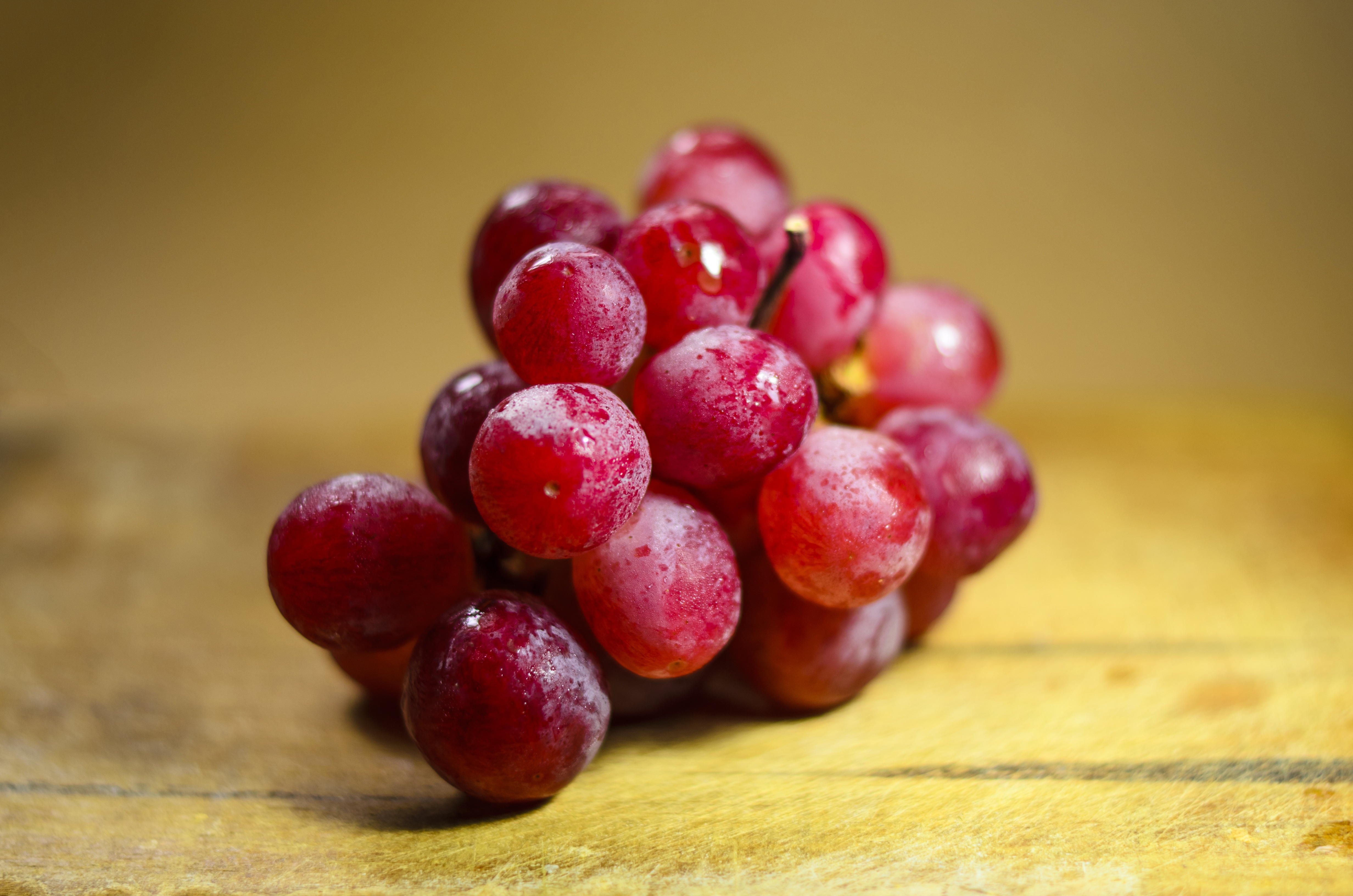 Healthy grapes photo