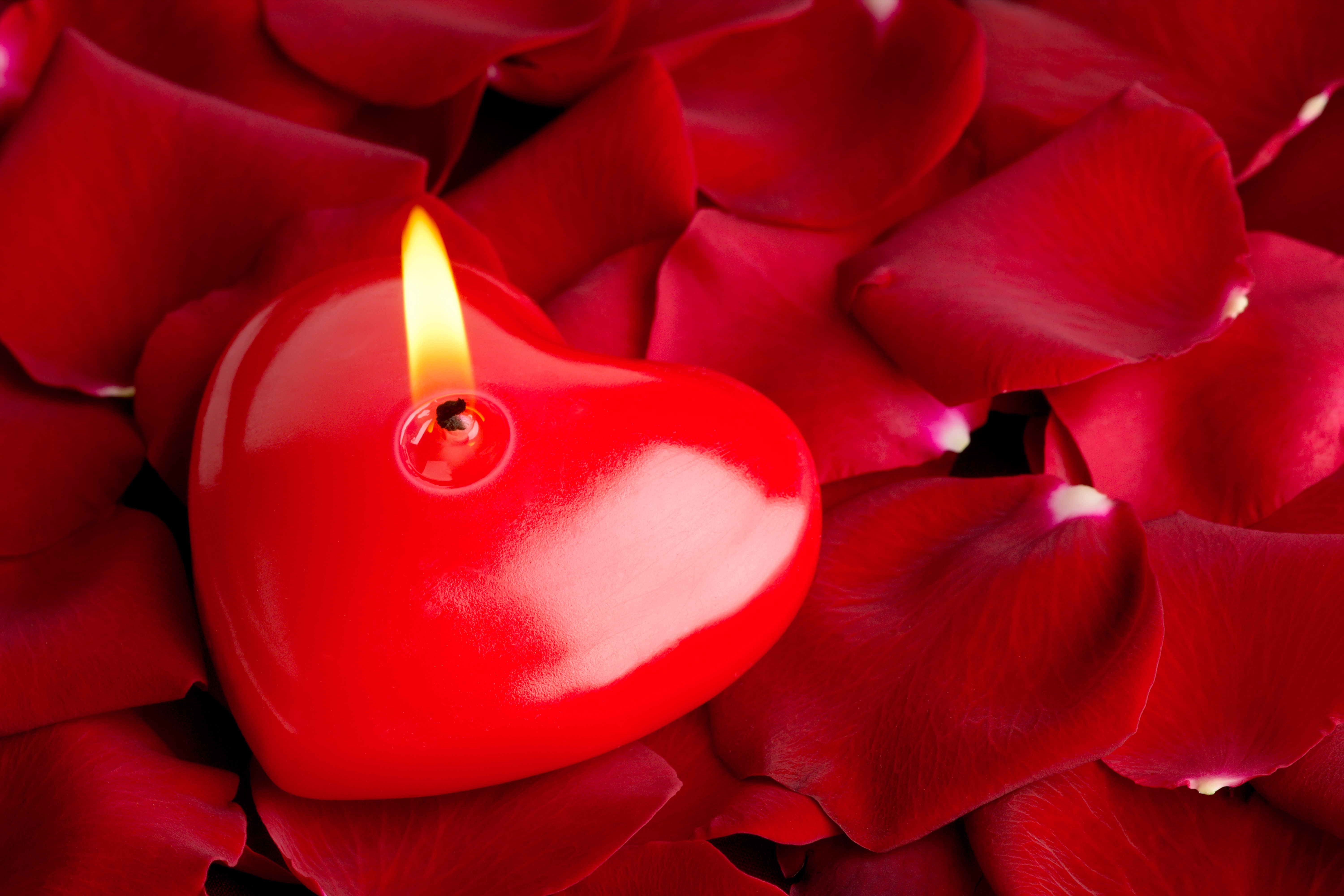 Heart Candle and Rose Petals Background | Gallery Yopriceville ...