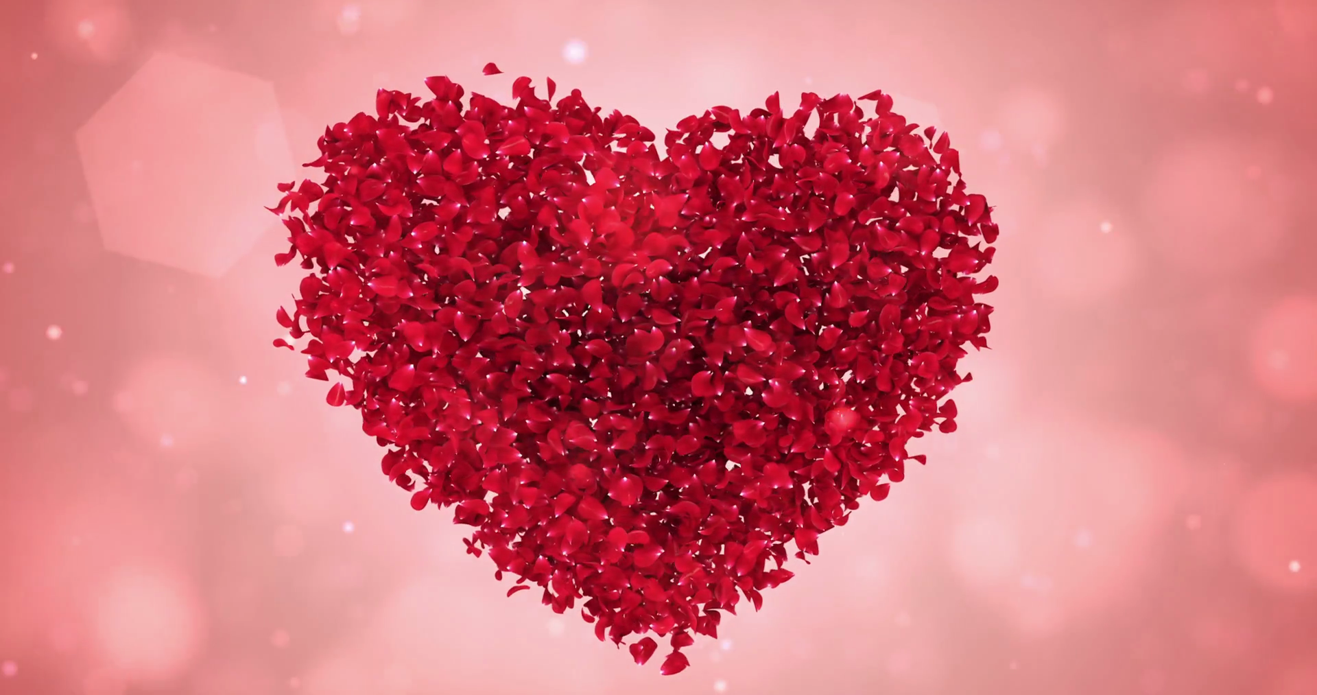 Rotating Red Rose Flower Petals In Lovely Heart Shape Background ...