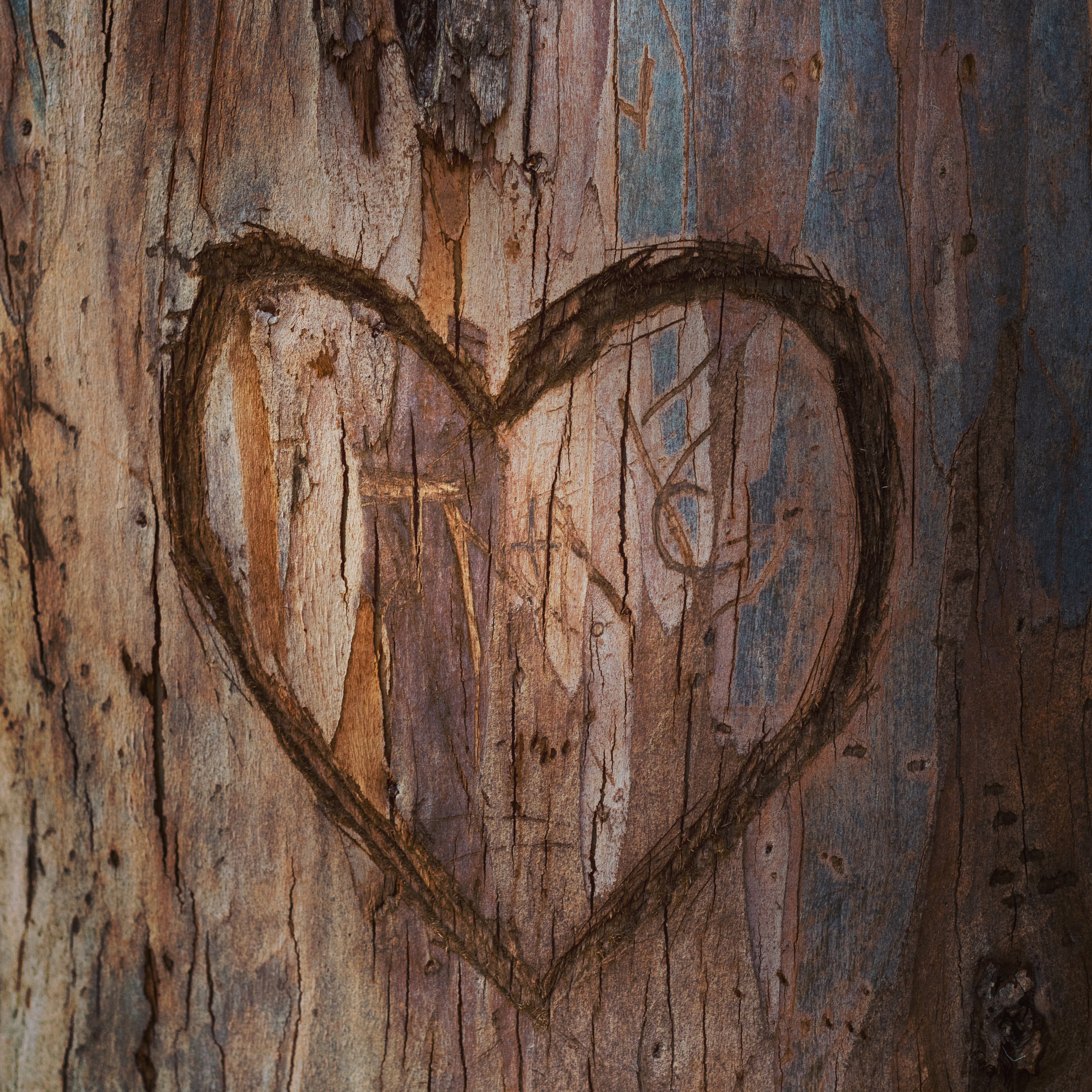 Heart on Wood by PheonixStarr on DeviantArt