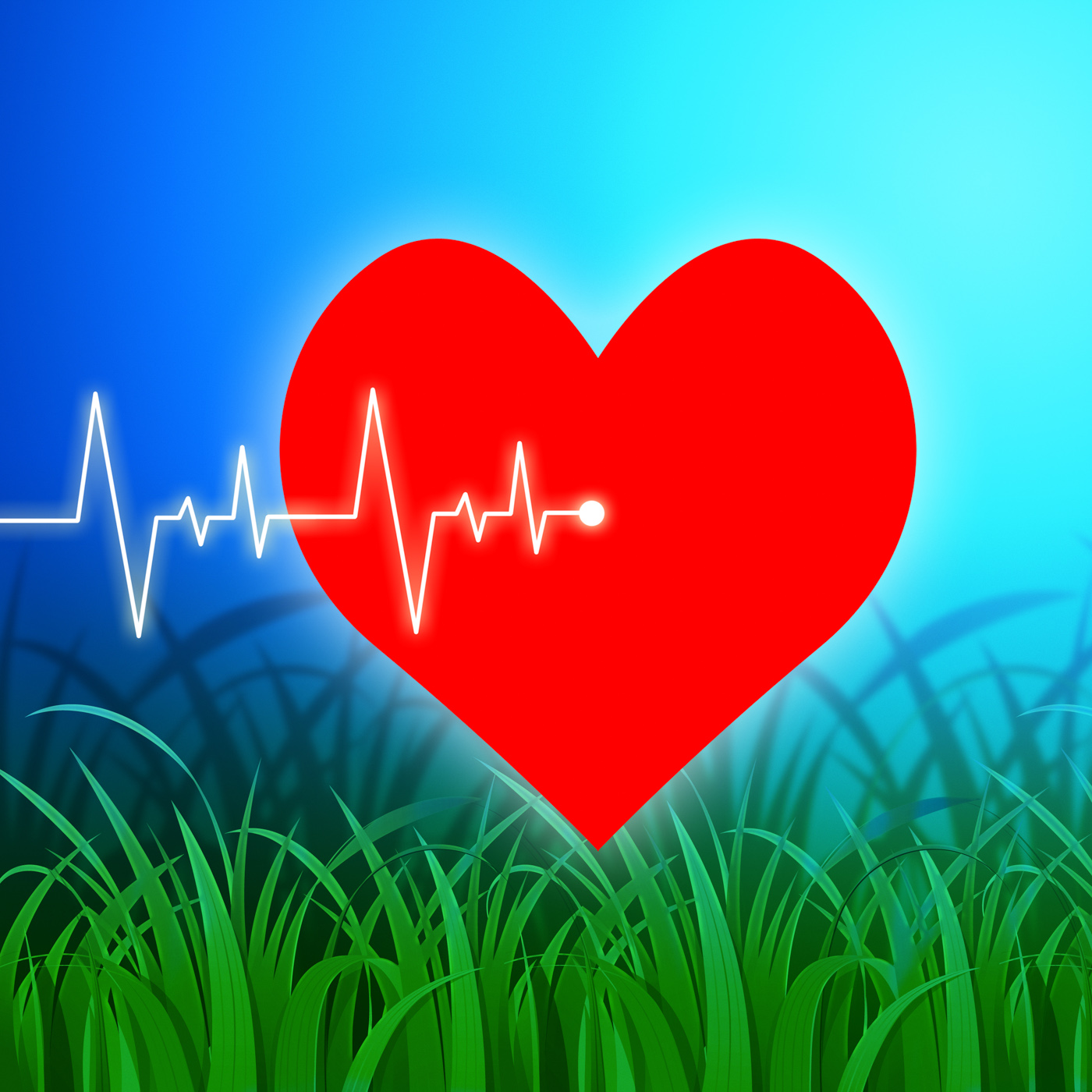 Heart pulse indicates valentines day and cardiology photo