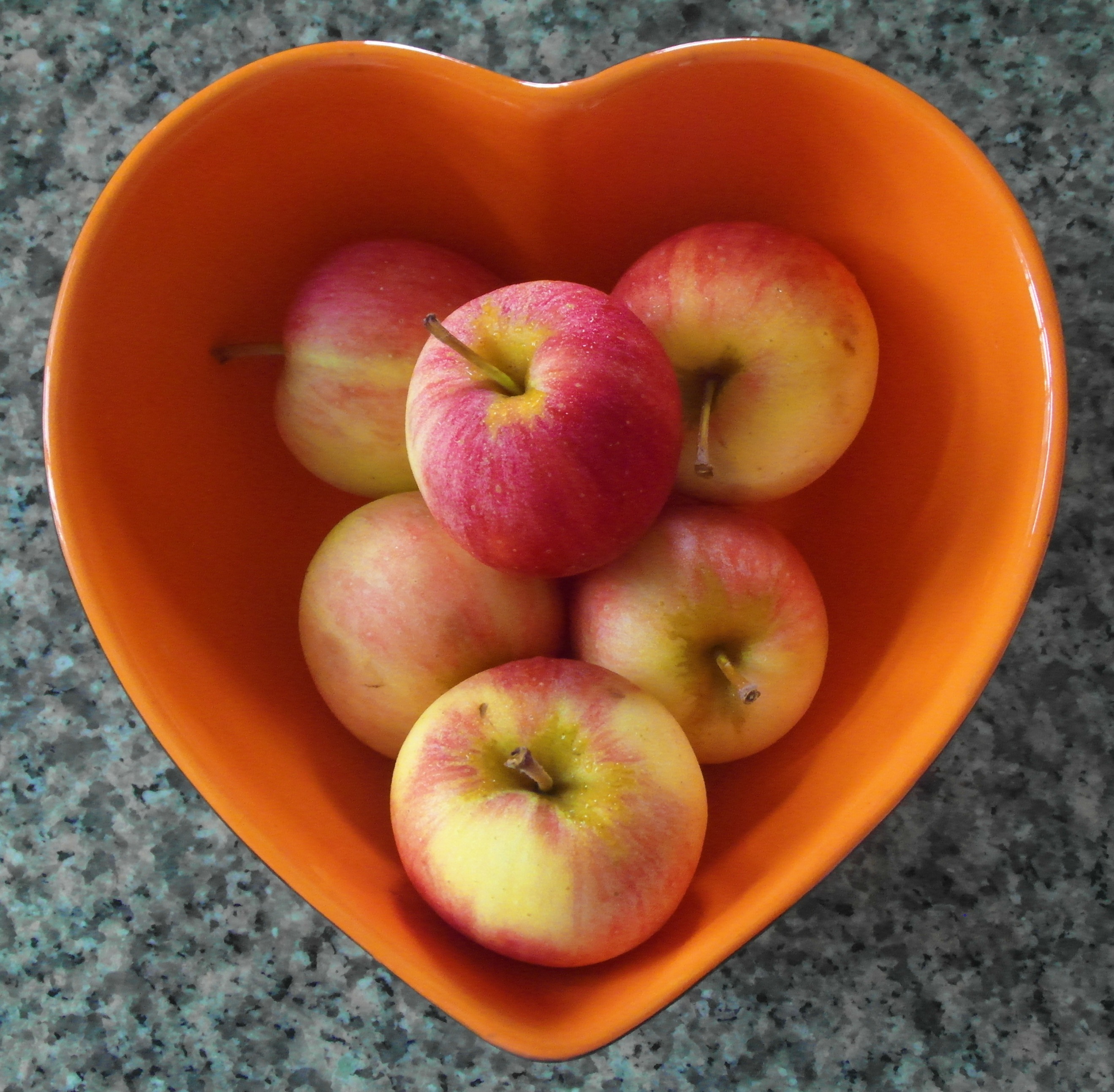 Hearty apples photo