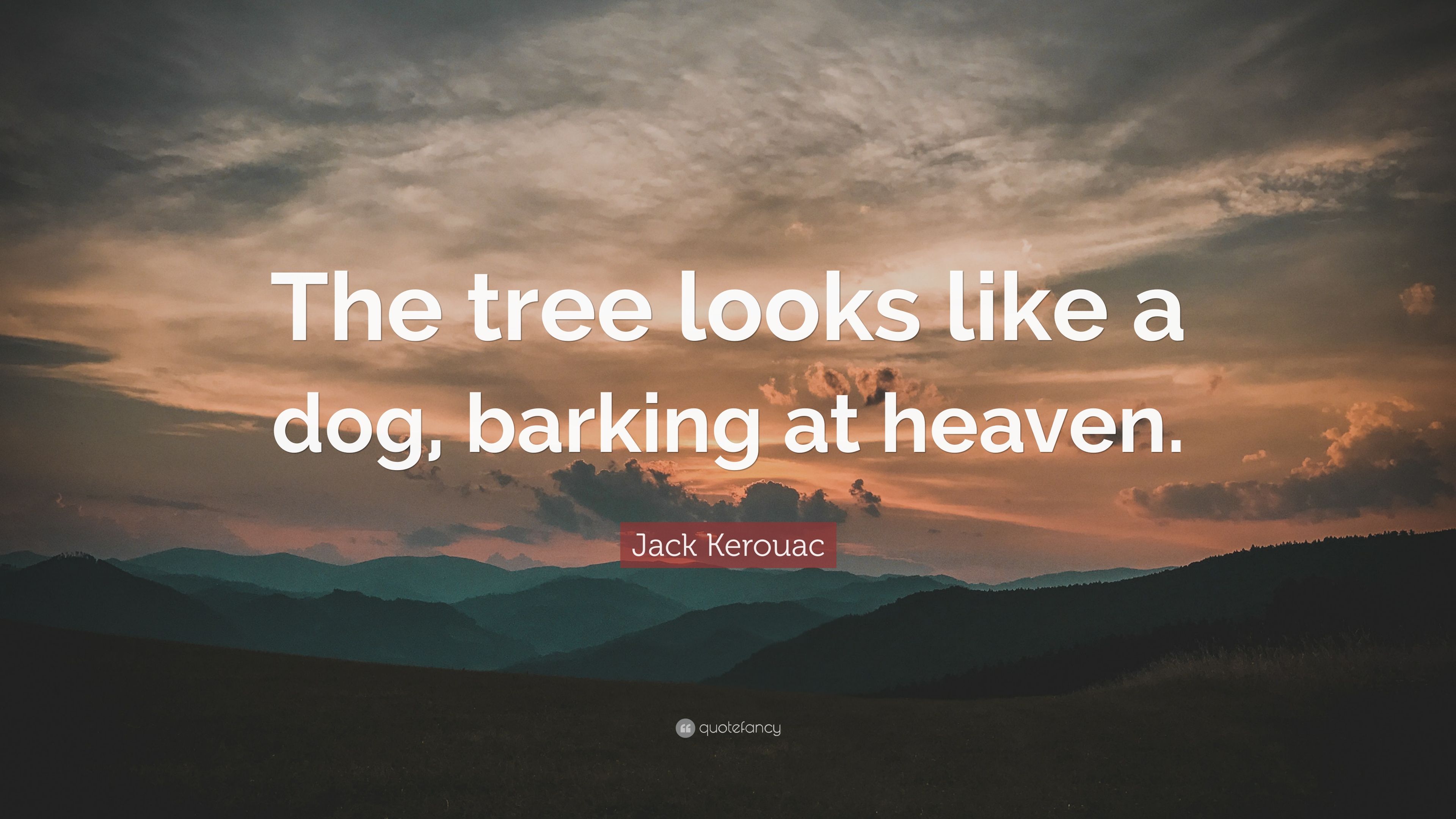 Jack Kerouac Quote: “The tree looks like a dog, barking at heaven ...