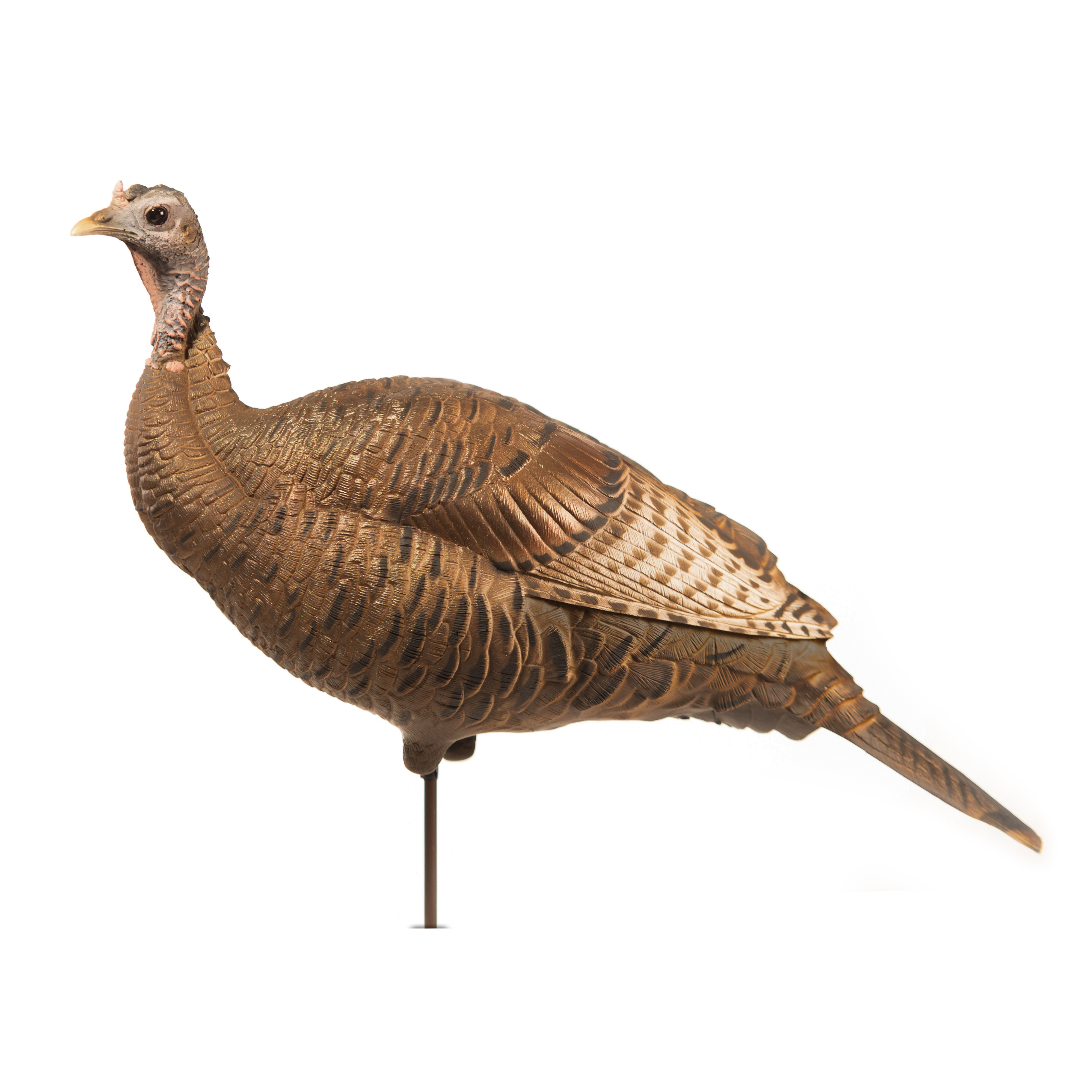 Upright Hen | Second – Dave Smith Decoys