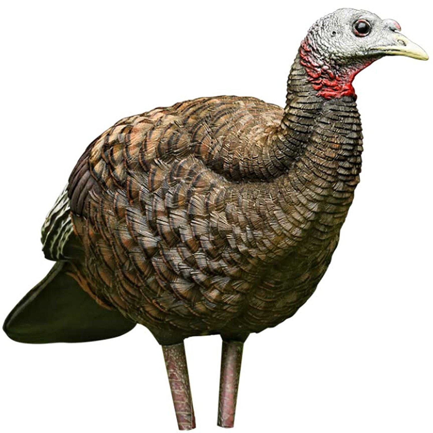 Amazon.com : AvianX Breeder Turkey Decoy, Camo : Sports & Outdoors