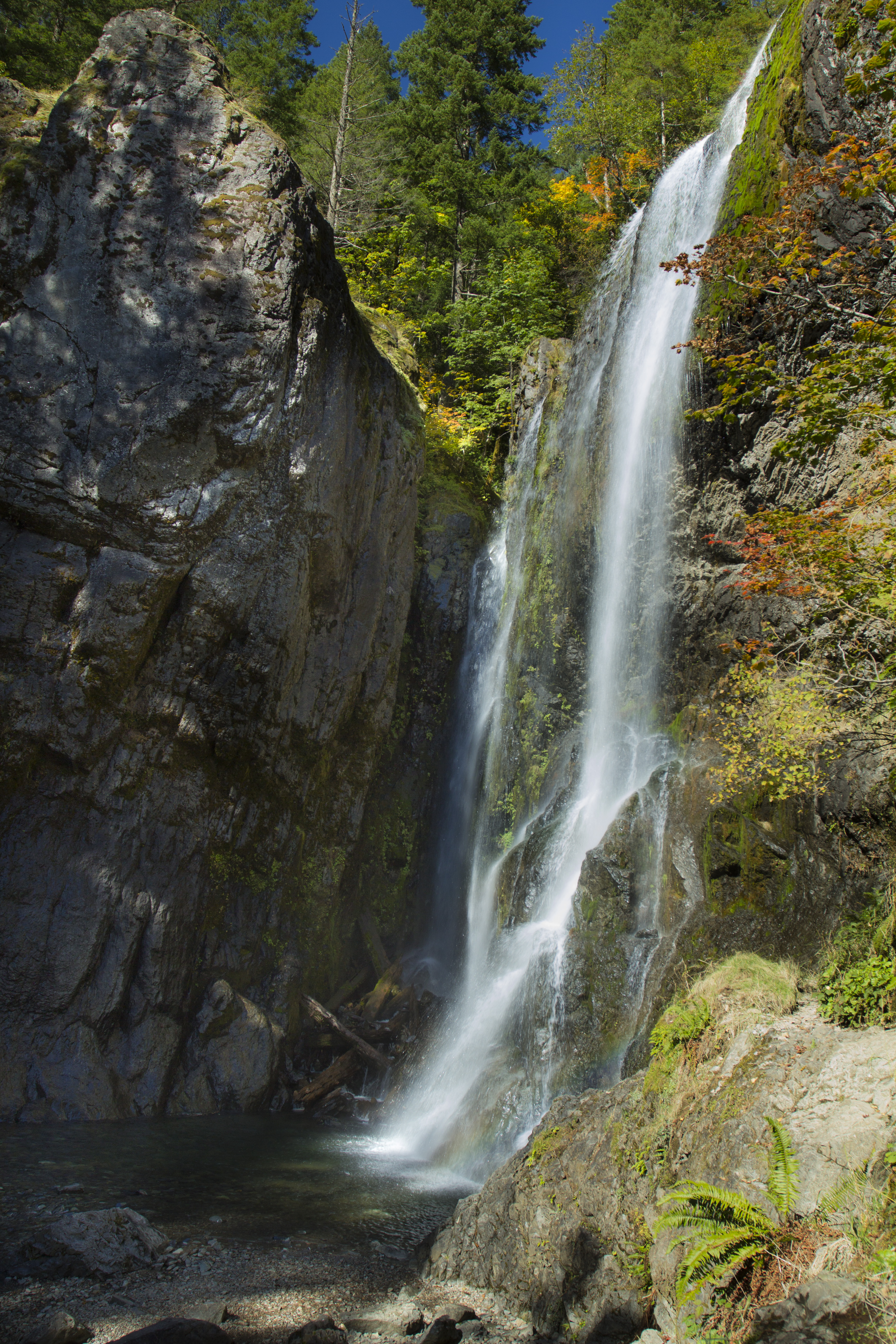 Henline falls, oregon photo