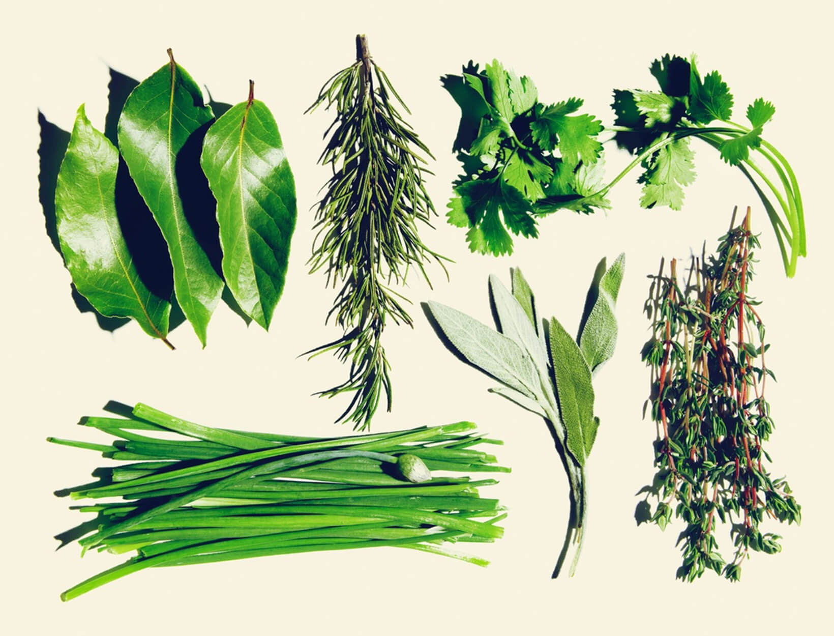 The Ultimate Spring Project: An Easy Herb Garden | Goop