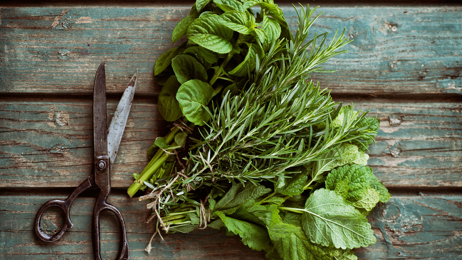Ways to preserve fresh herbs | MomsEveryday