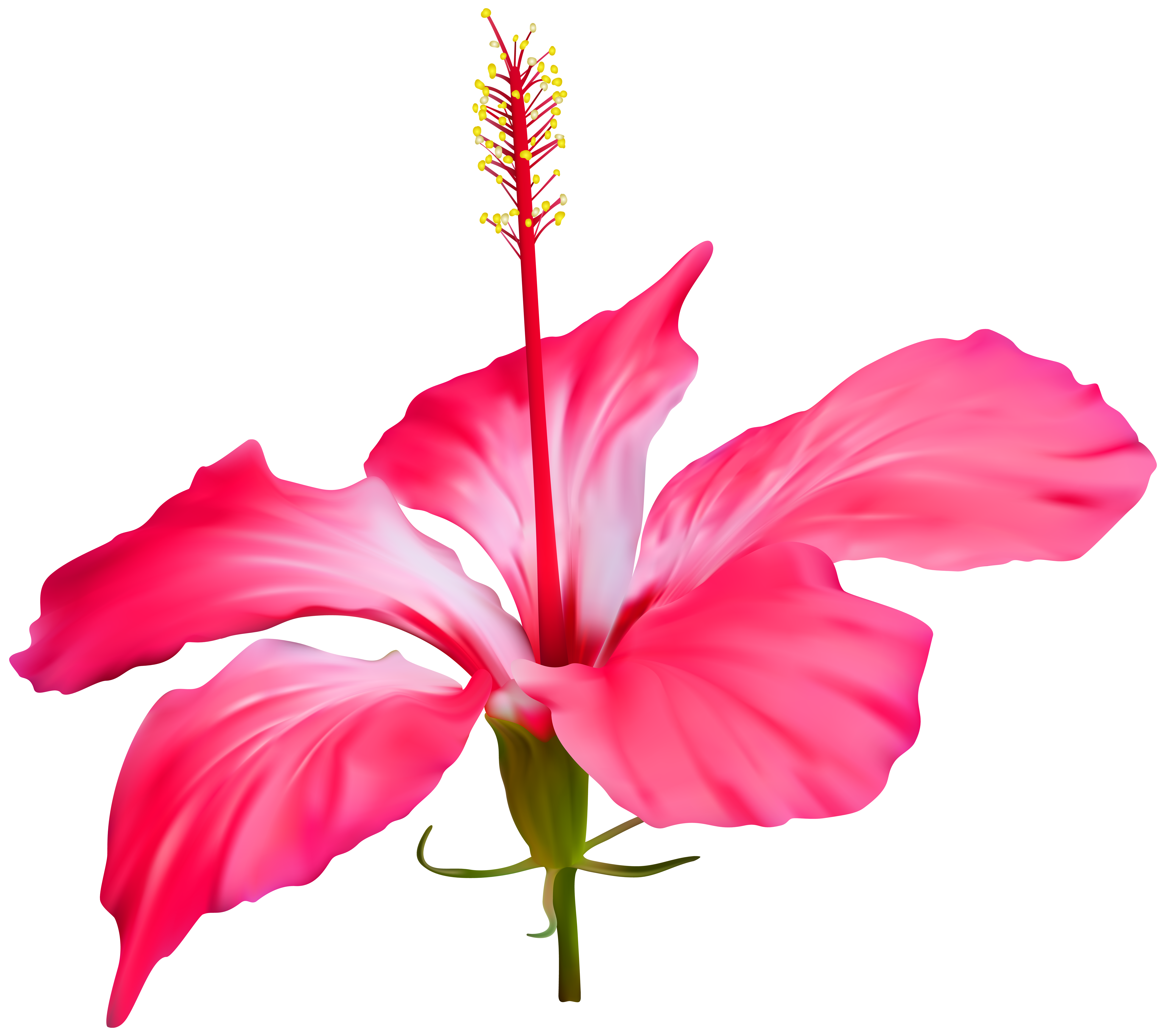 Hibiscus Flower Transparent PNG Clip Art | Gallery Yopriceville ...