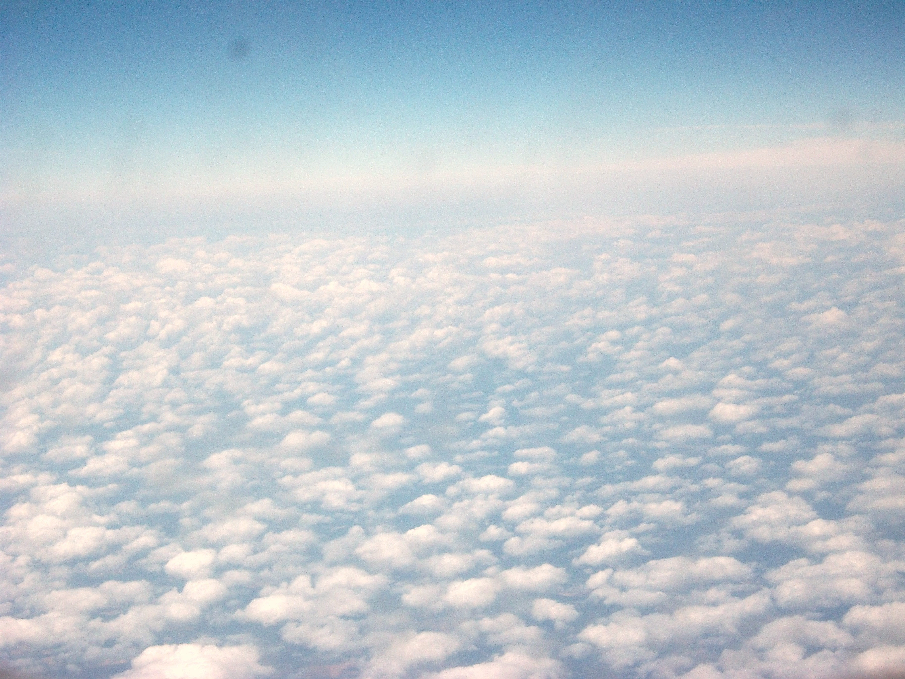 Free Photo High Altitude Clouds Altitude Blue Clouds Free