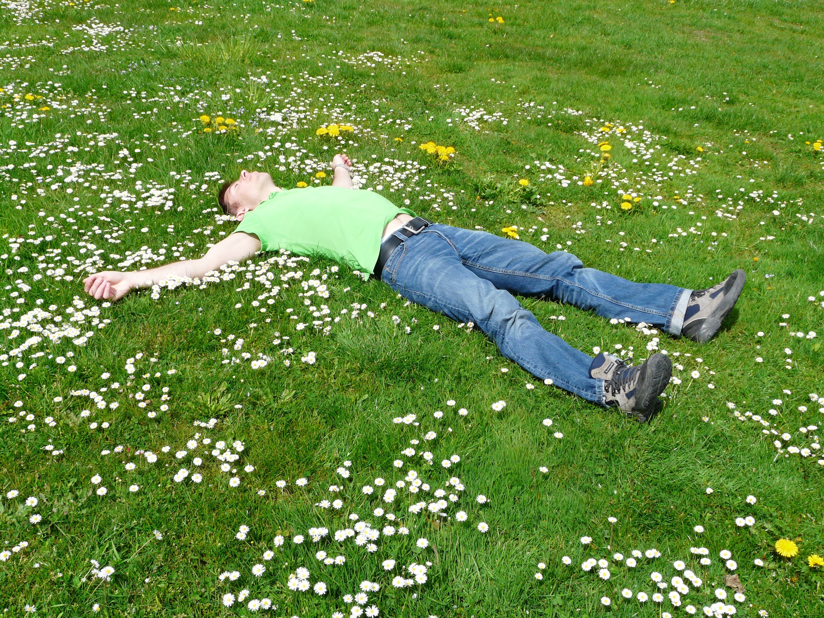 High angle view of lying down on grass photo