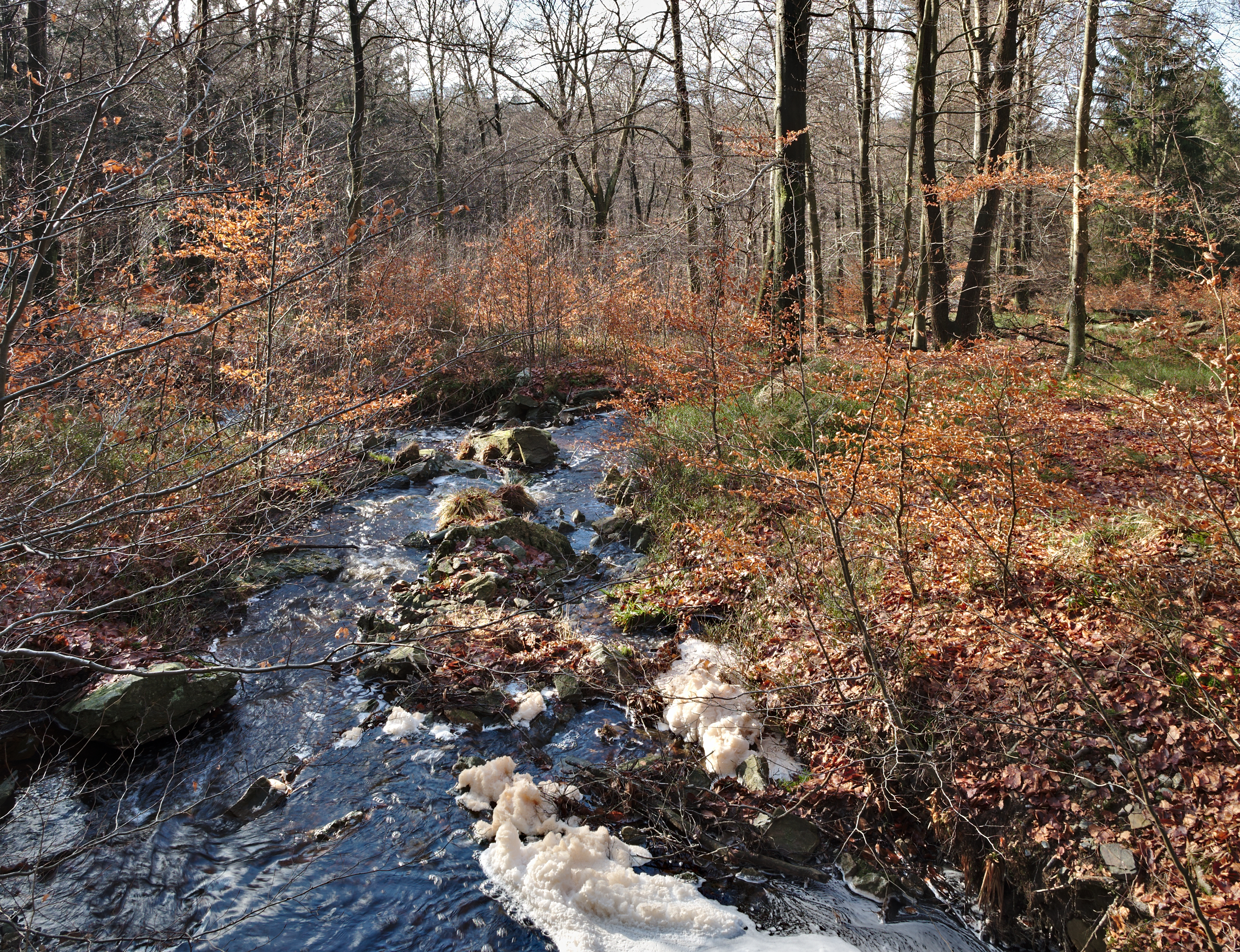 File:Stream flowing towards the Hill river in High Fens, Eupen ...