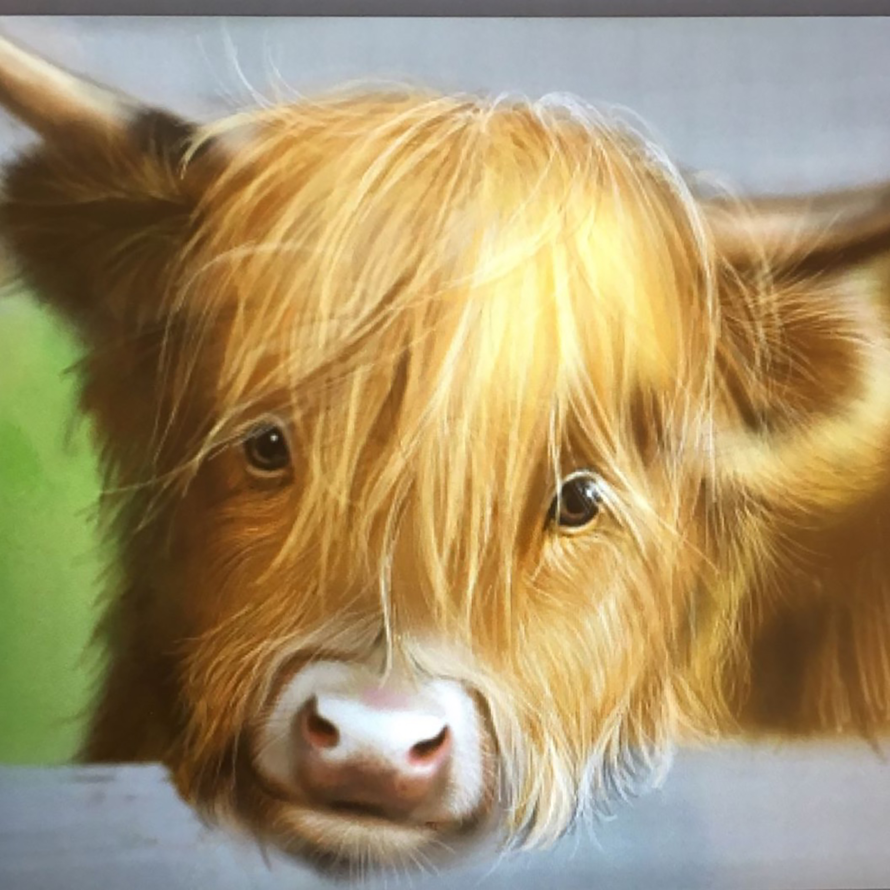 Highland Cow • Patricia Eubank