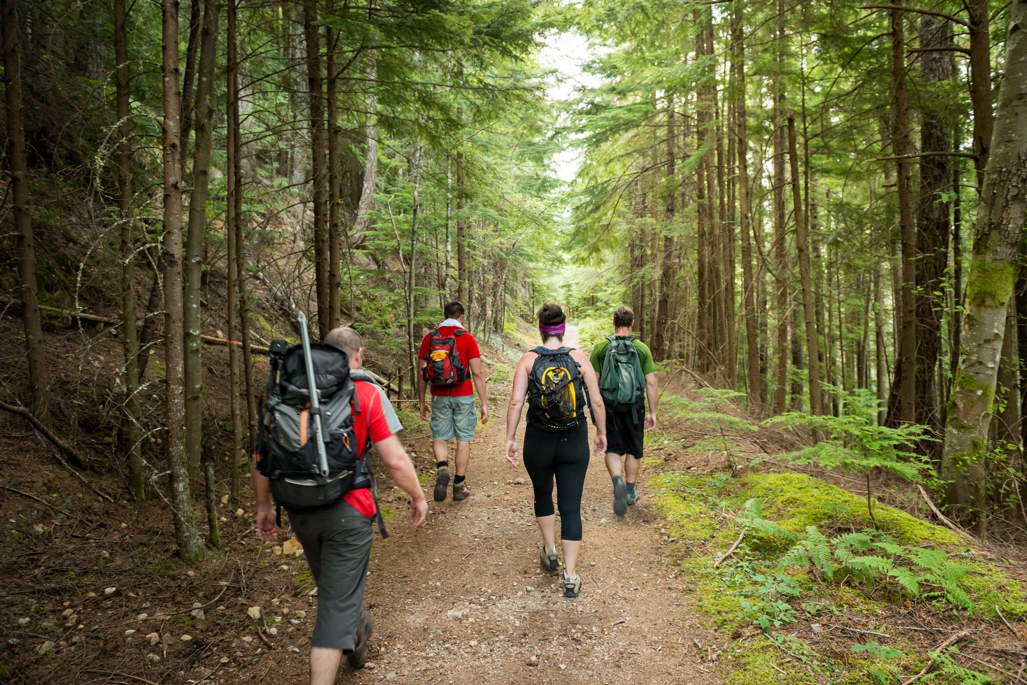 Doctors Explain How Hiking Actually Changes Our Brains – Collective ...