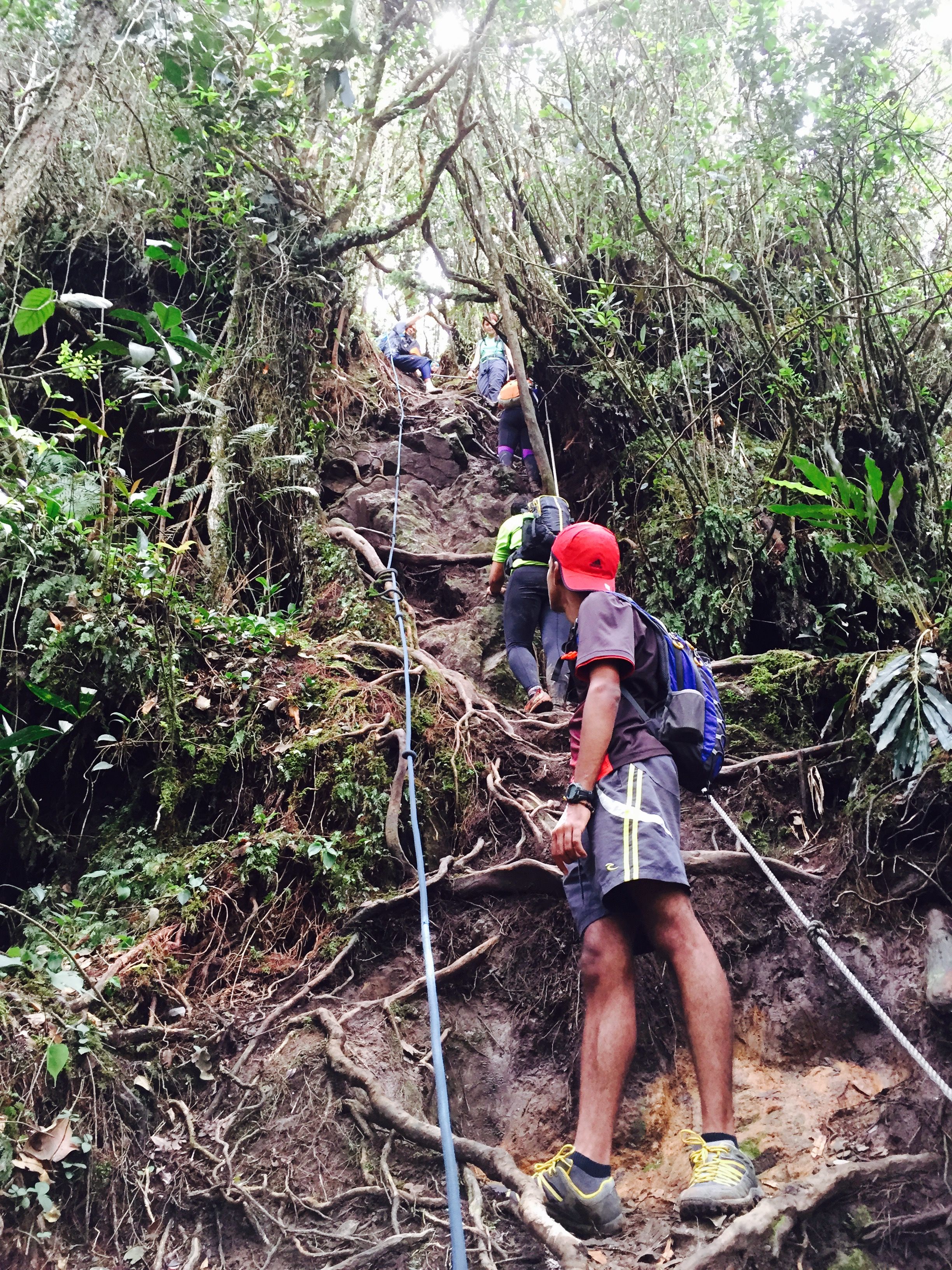 Reaching summit of Pine Tree Hill. | Hiking is fun! | Pinterest ...