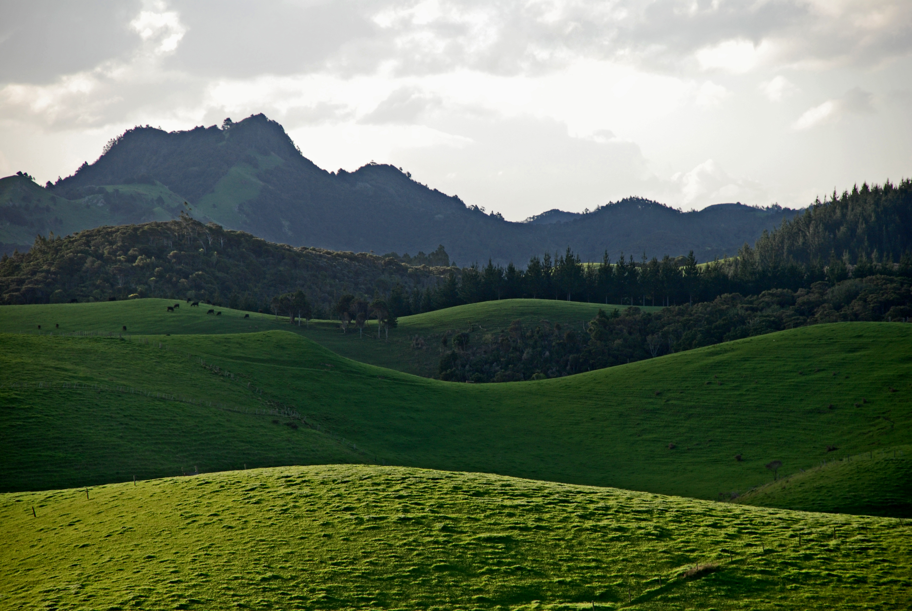 File:Northland hills.jpg - Wikimedia Commons