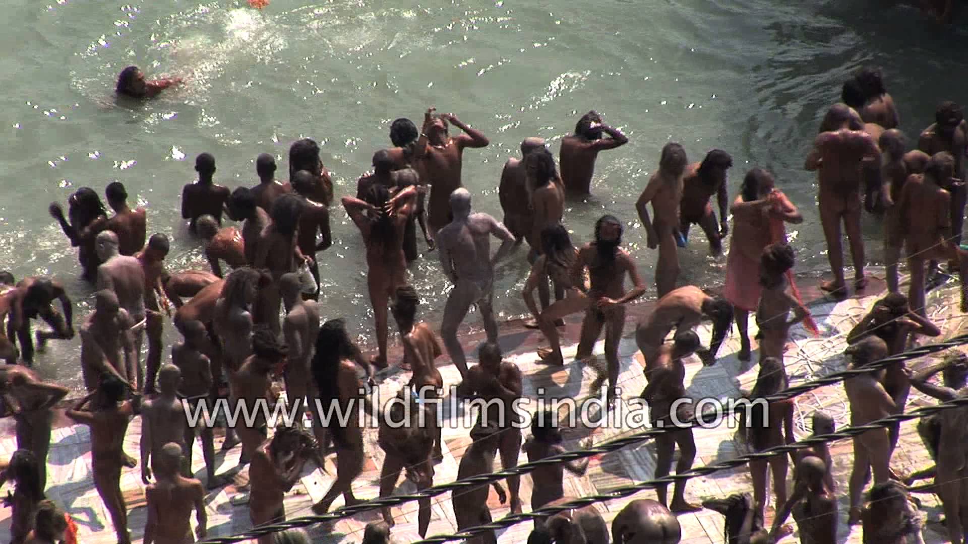 Naga Sadhus or naked Hindu Holy men bathe on the banks of the Ganges ...